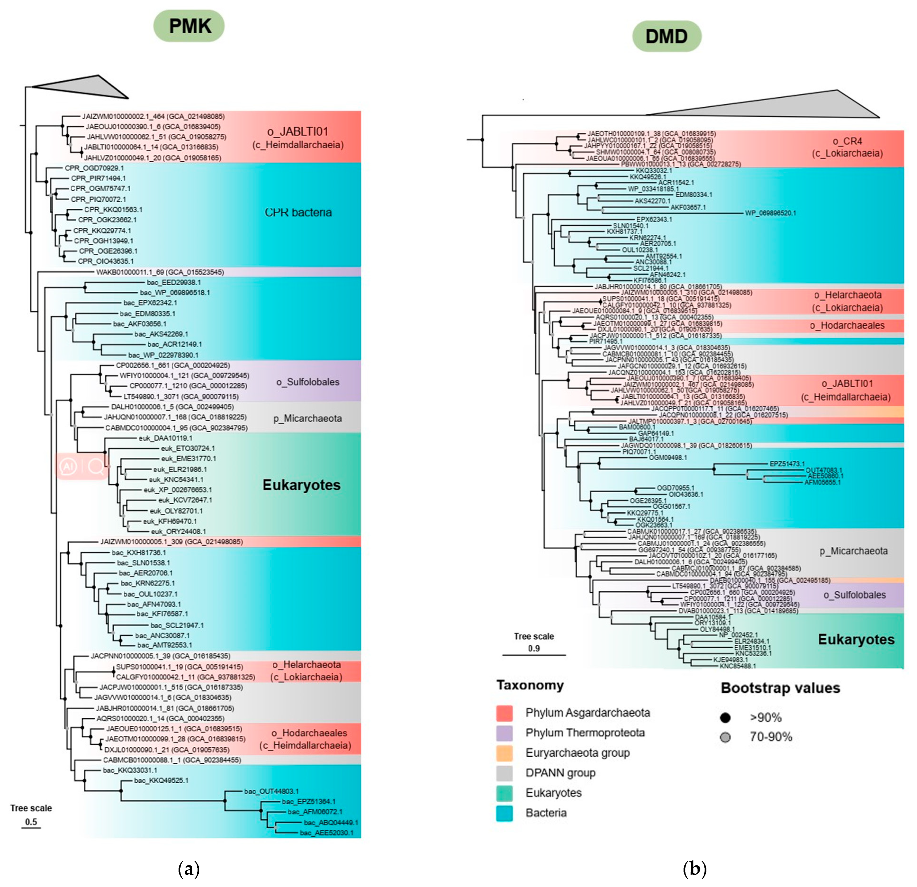 Microorganisms 12 00707 g004