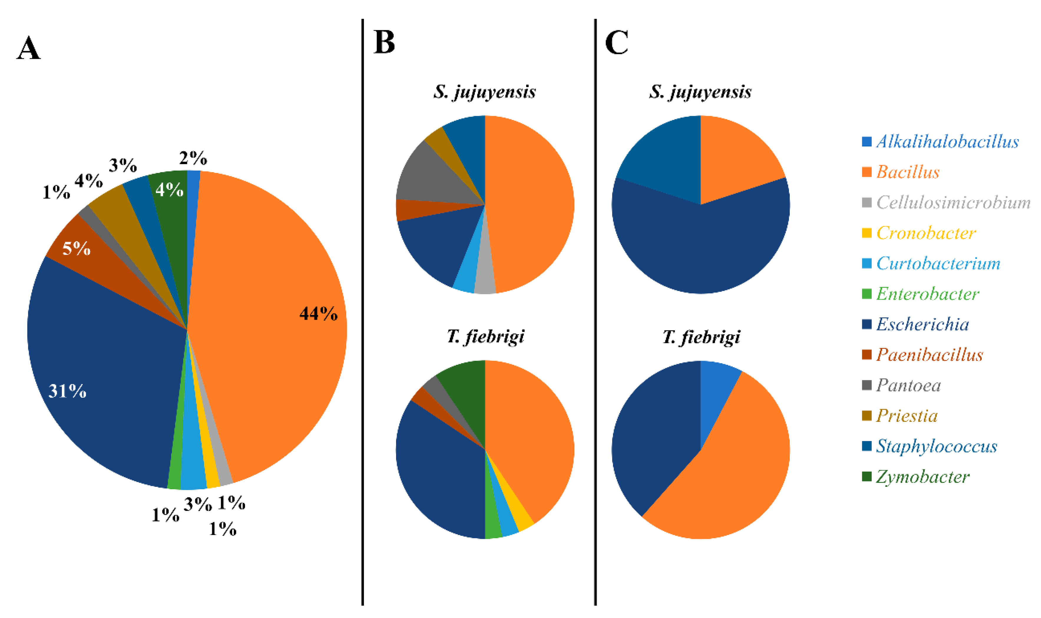 Microorganisms 12 00711 g001 Microorganisms 12 00711 g001