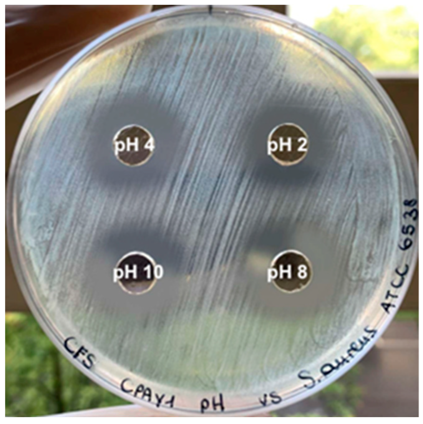Microorganisms 12 00718 g002