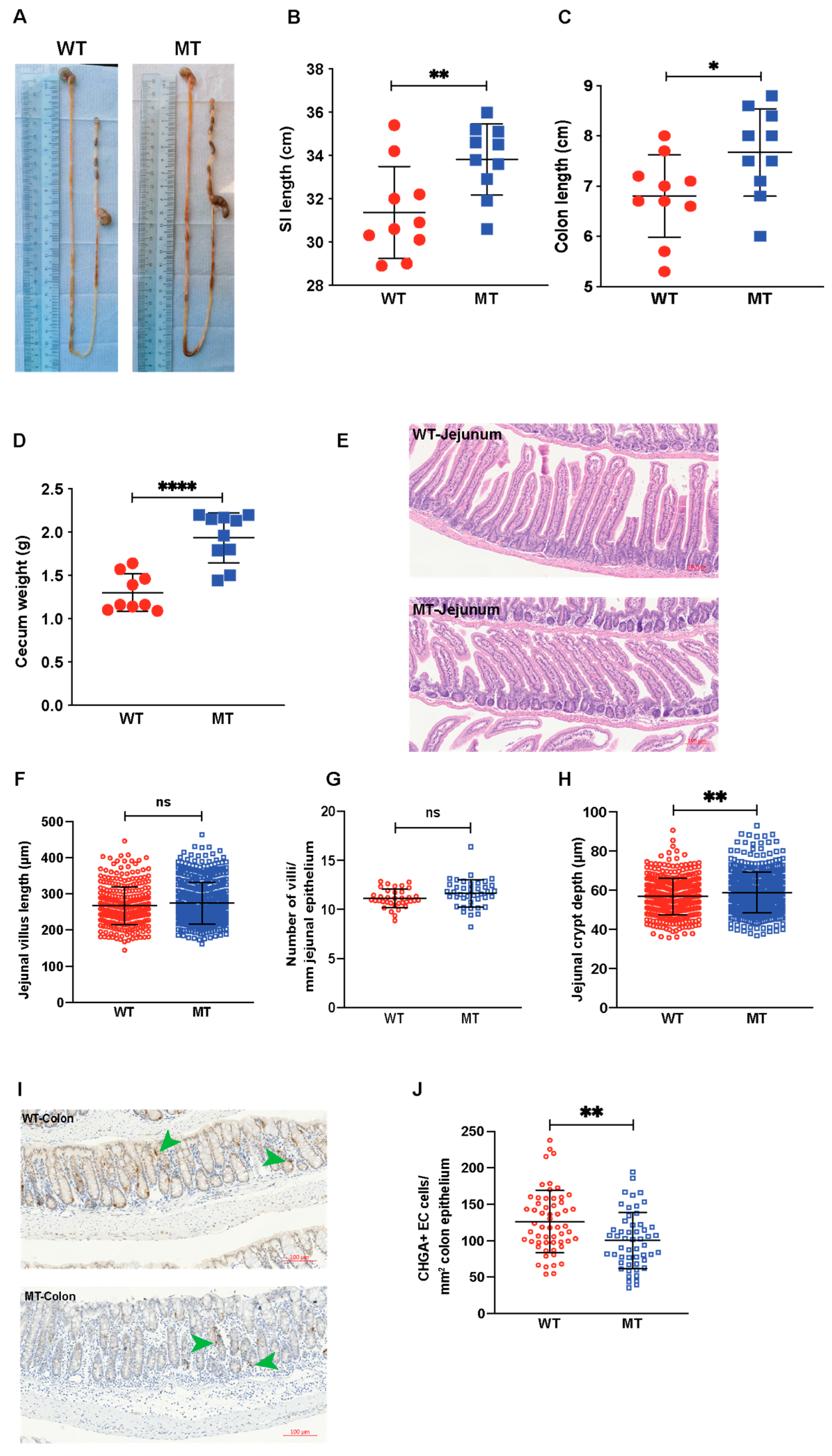 Microorganisms 12 00719 g007 Microorganisms 12 00719 g007