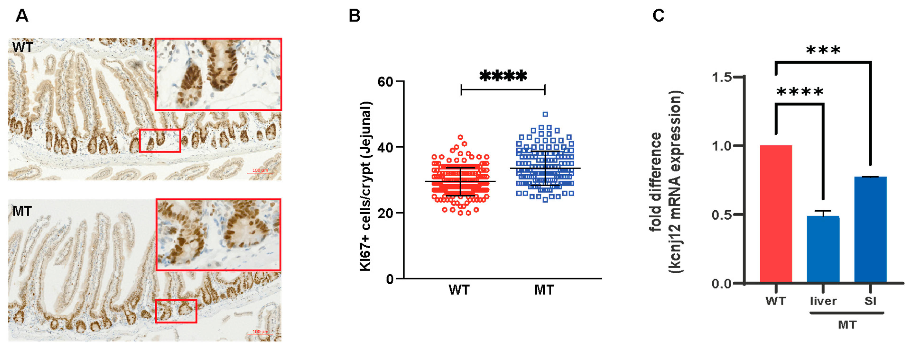 Microorganisms 12 00719 g008 Microorganisms 12 00719 g008