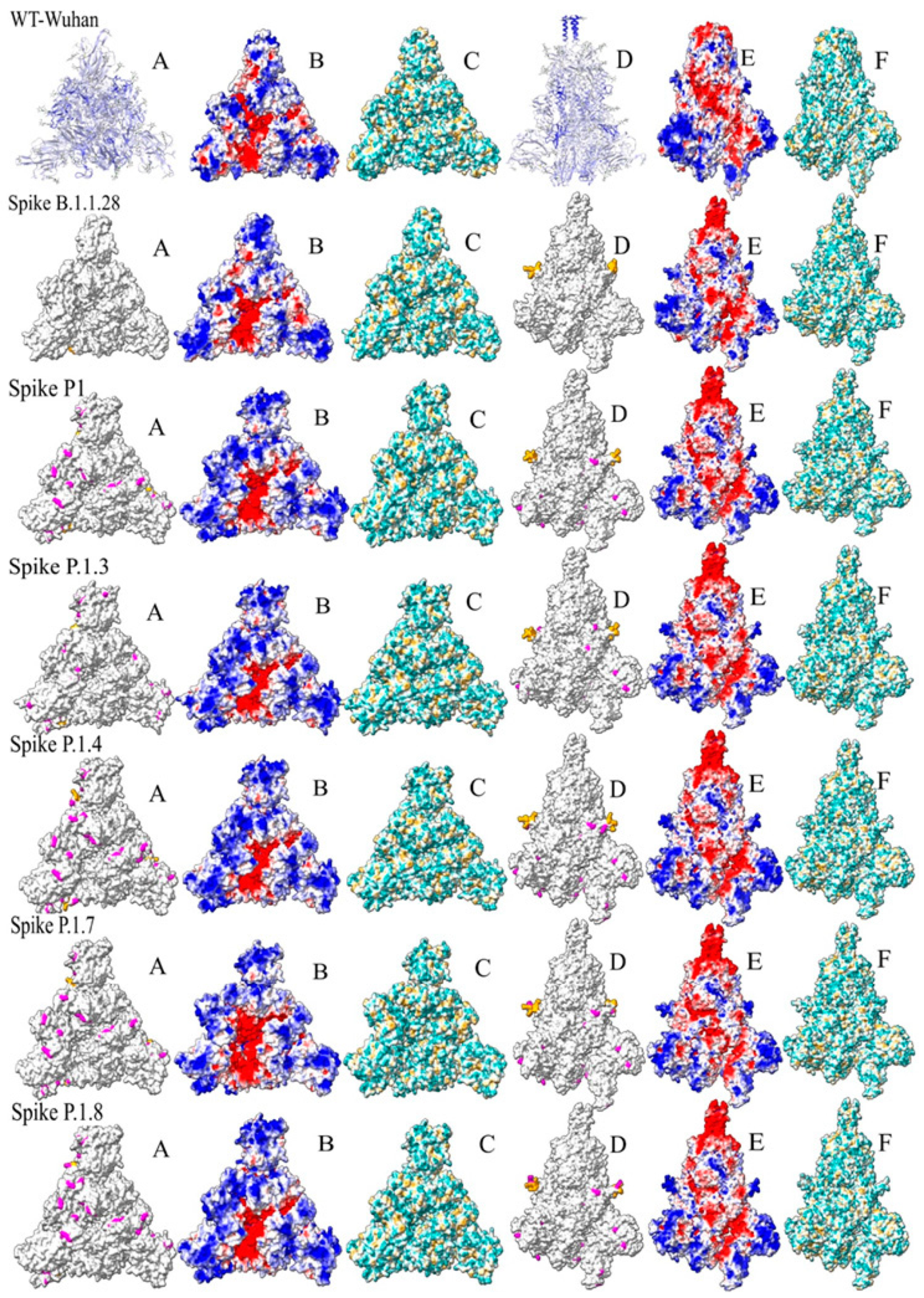 Microorganisms 12 00720 g005