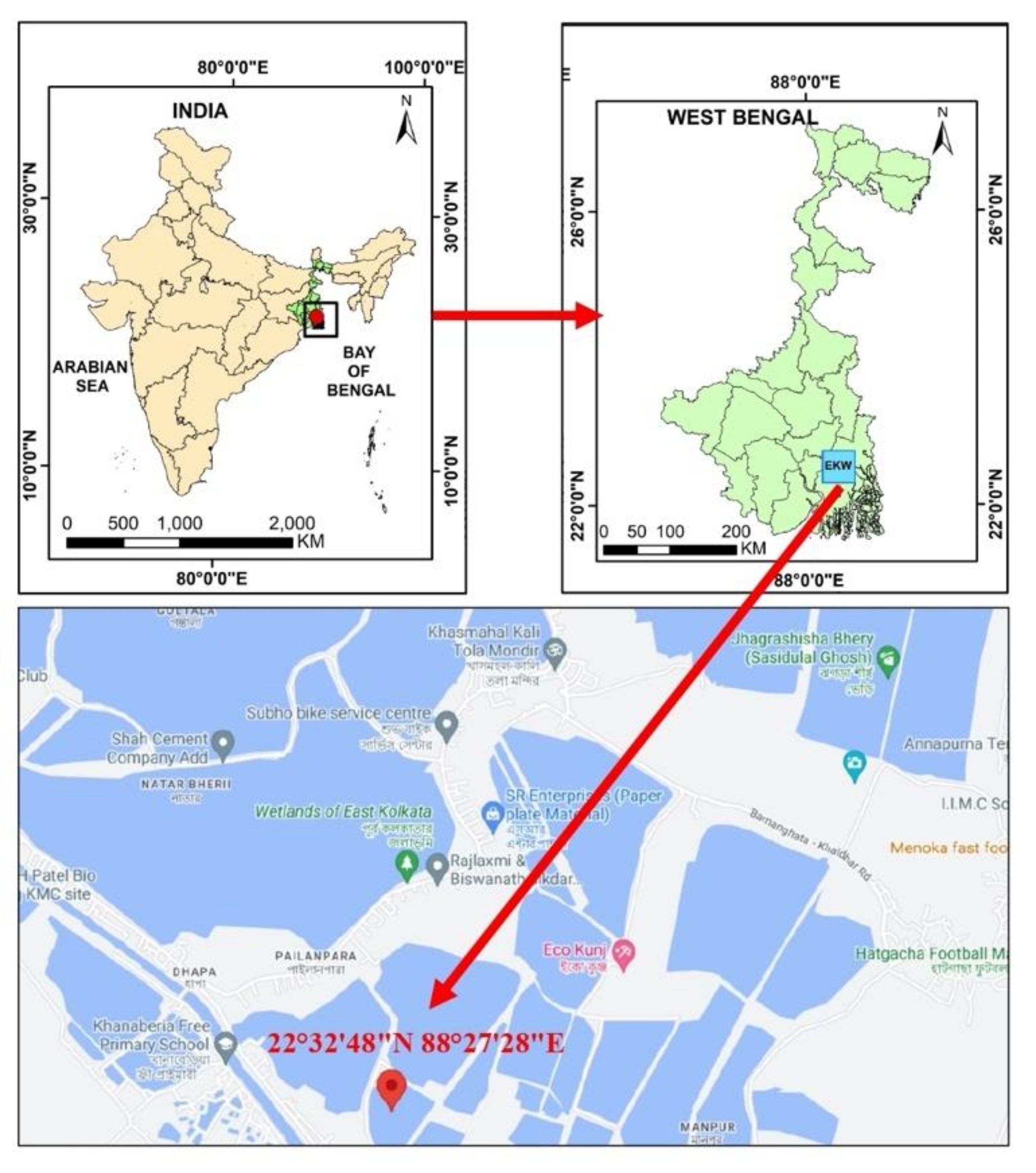 Microorganisms 12 00723 g001