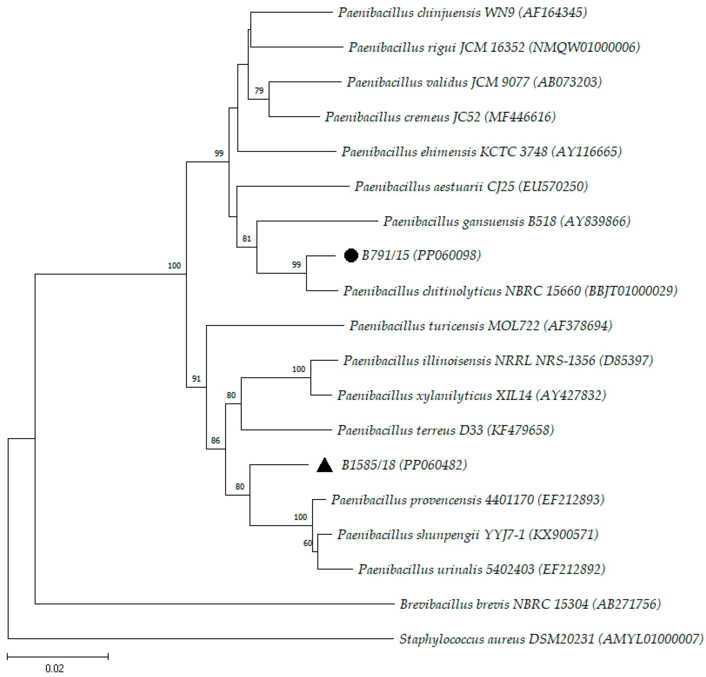 Microorganisms 12 00724 g002