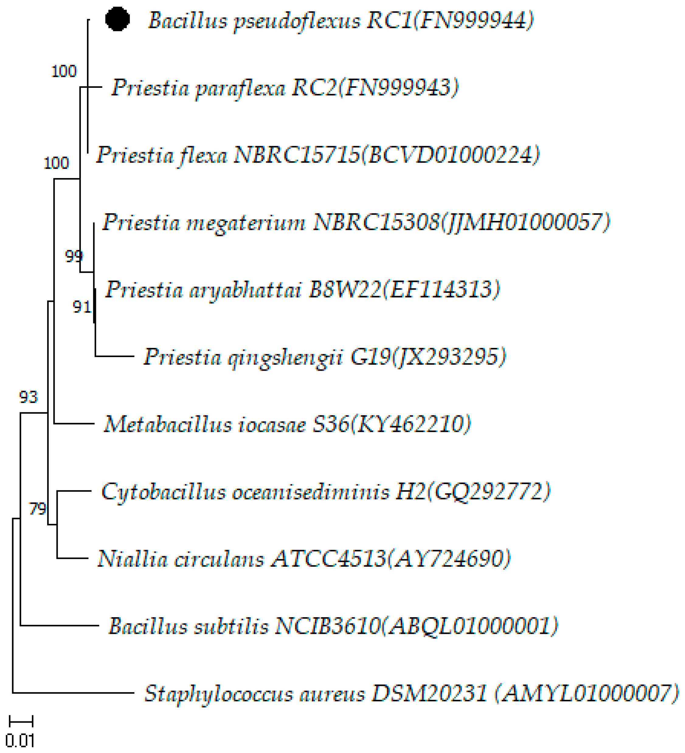 Microorganisms 12 00724 g003