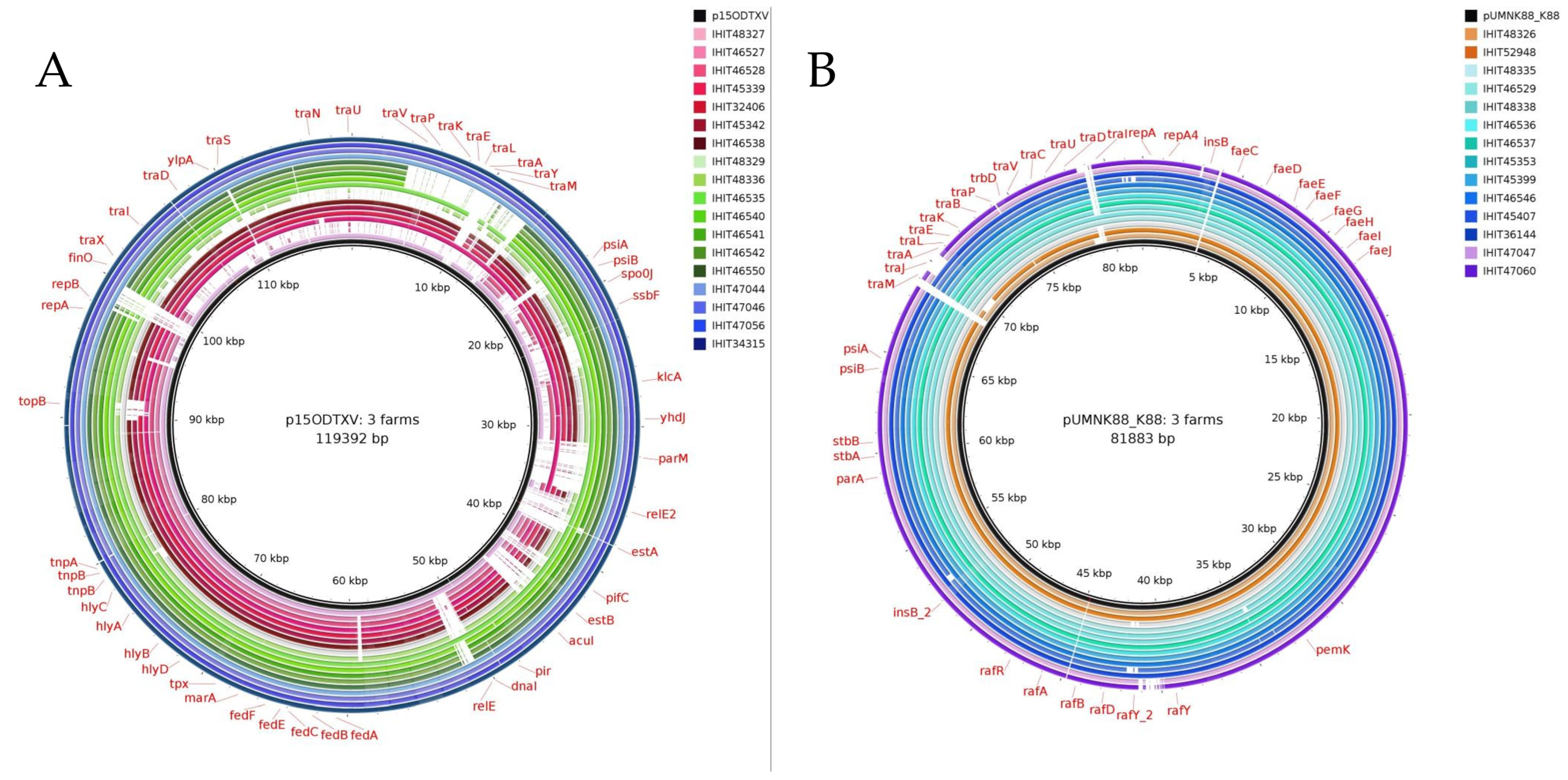 Microorganisms 12 00729 g001