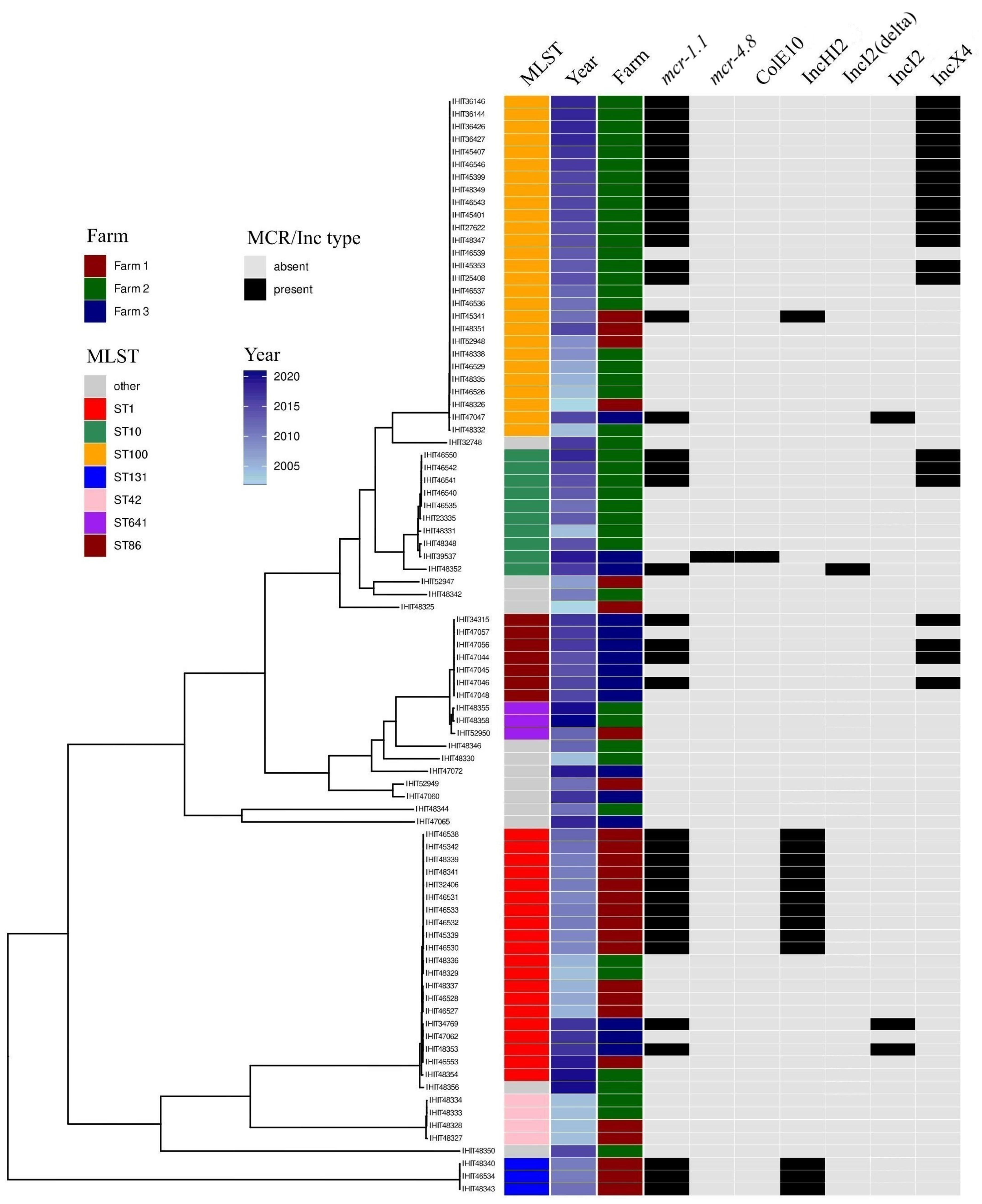 Microorganisms 12 00729 g002
