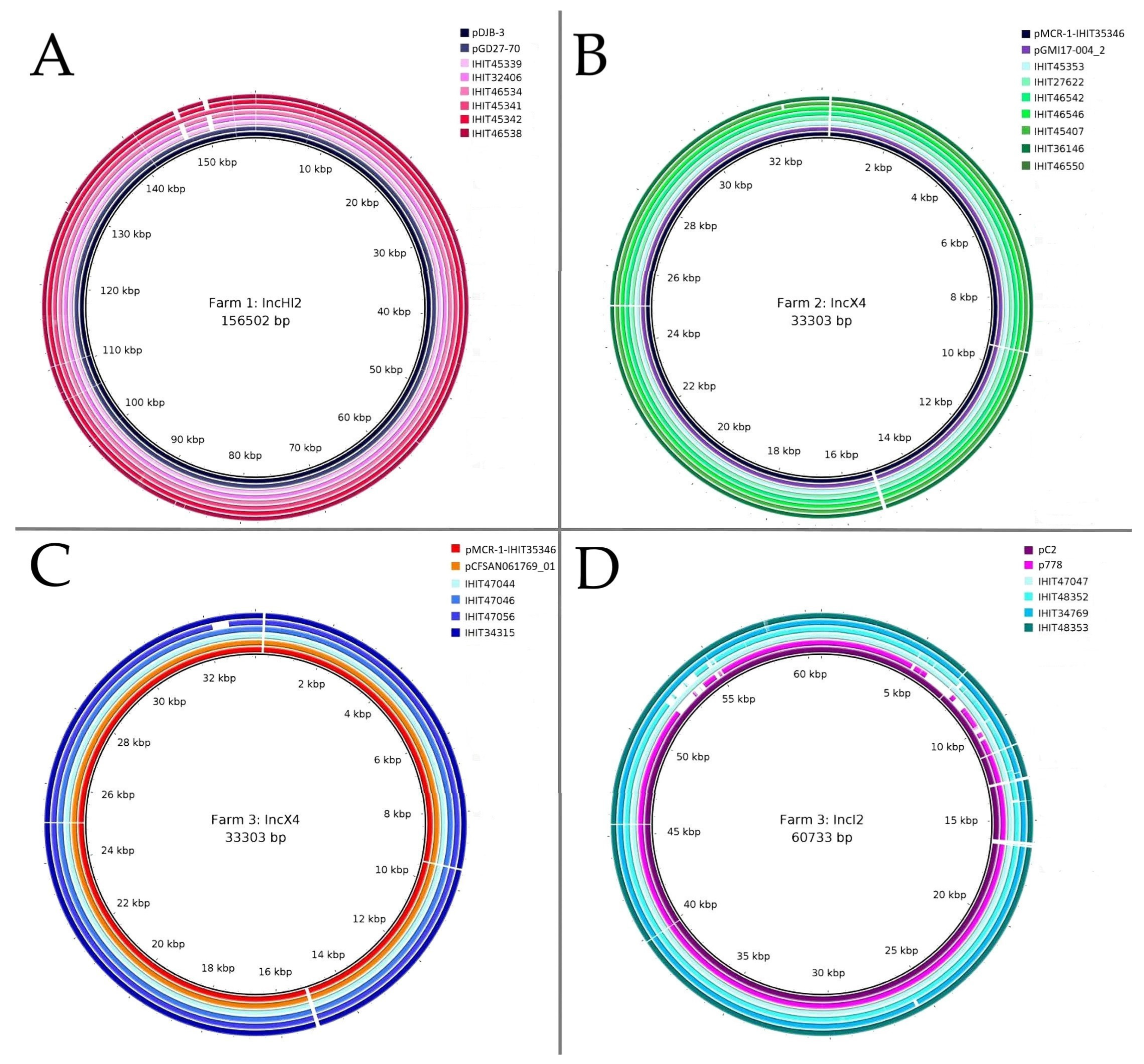 Microorganisms 12 00729 g004