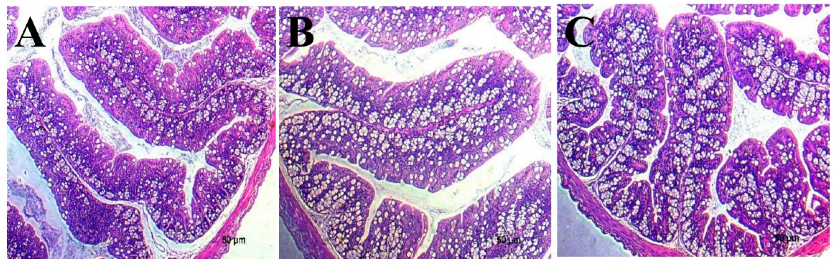 Microorganisms 12 00730 g008