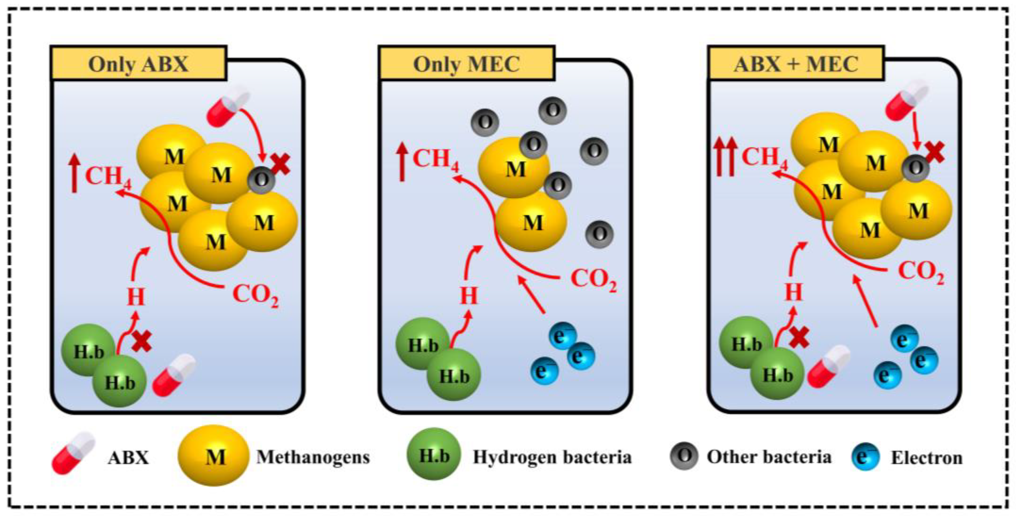Microorganisms 12 00734 g007