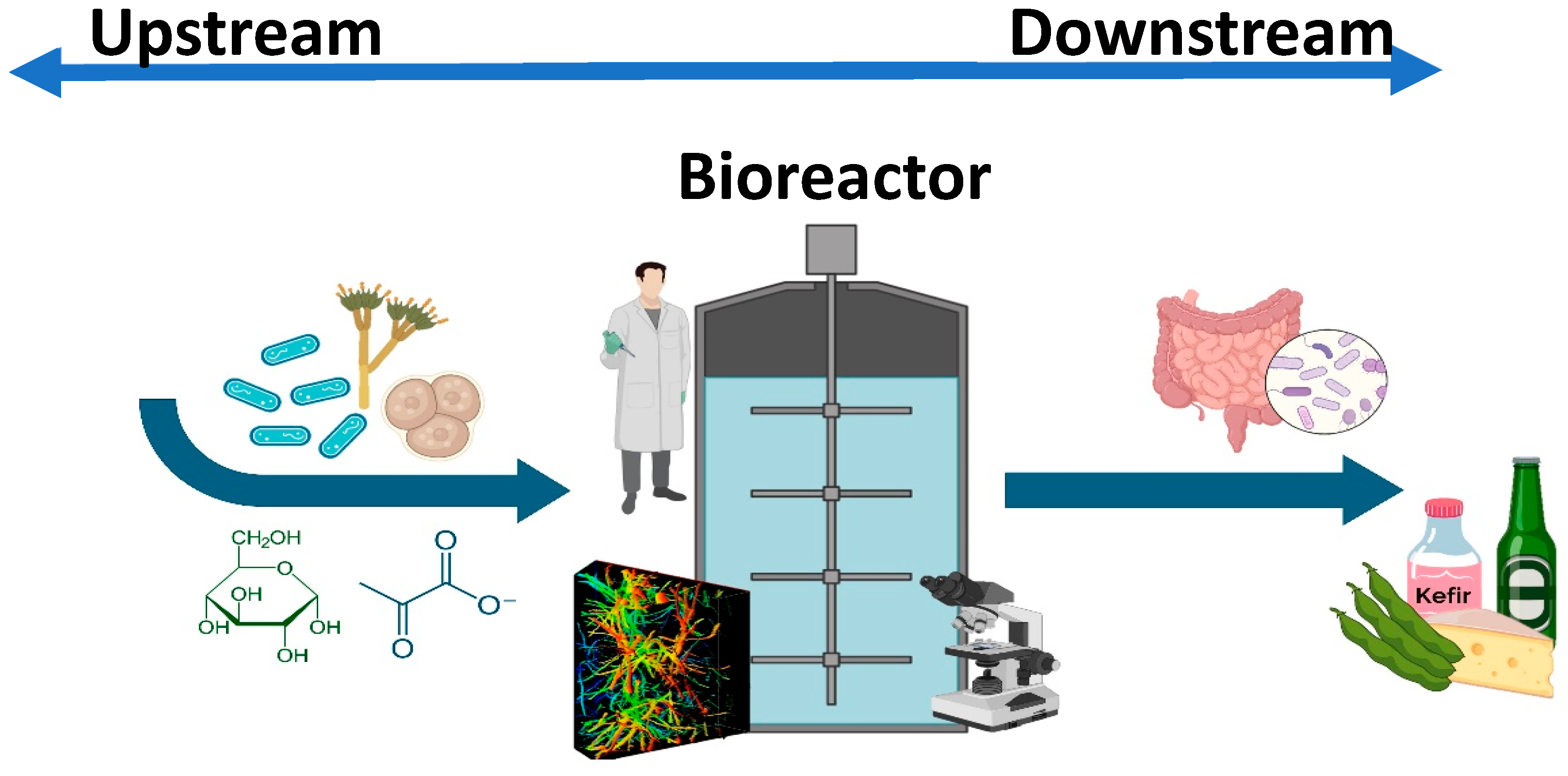 Microorganisms 12 00736 g001