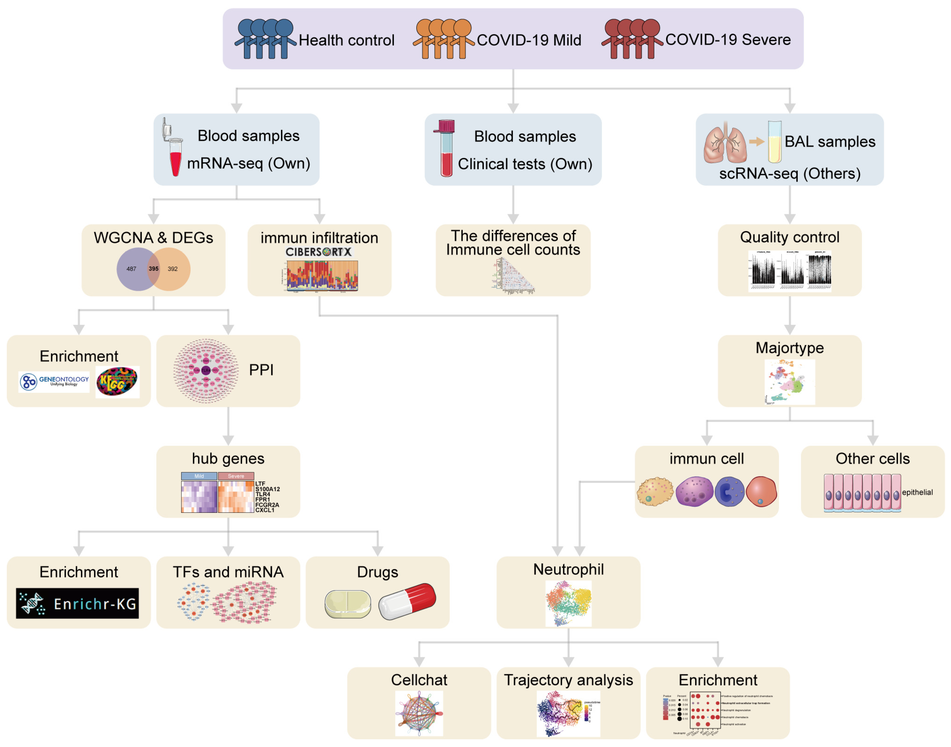 Microorganisms 12 00737 g001