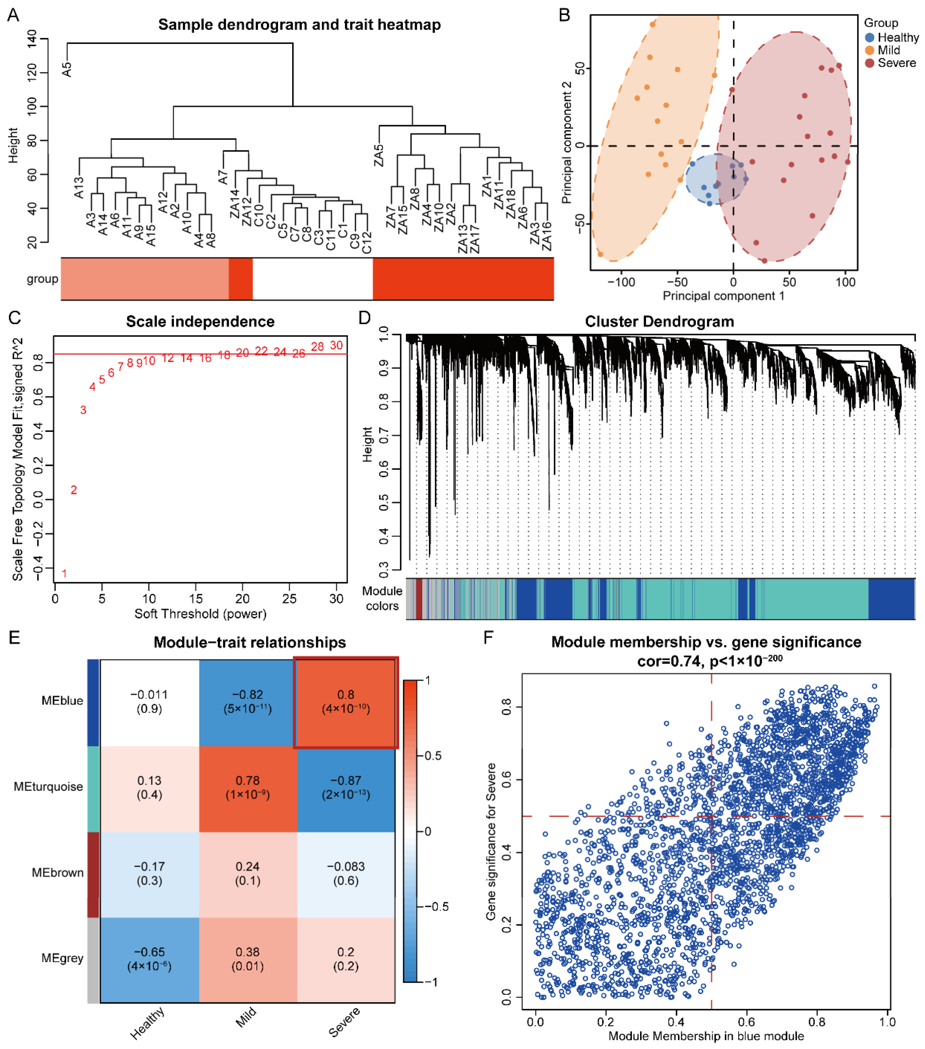 Microorganisms 12 00737 g002