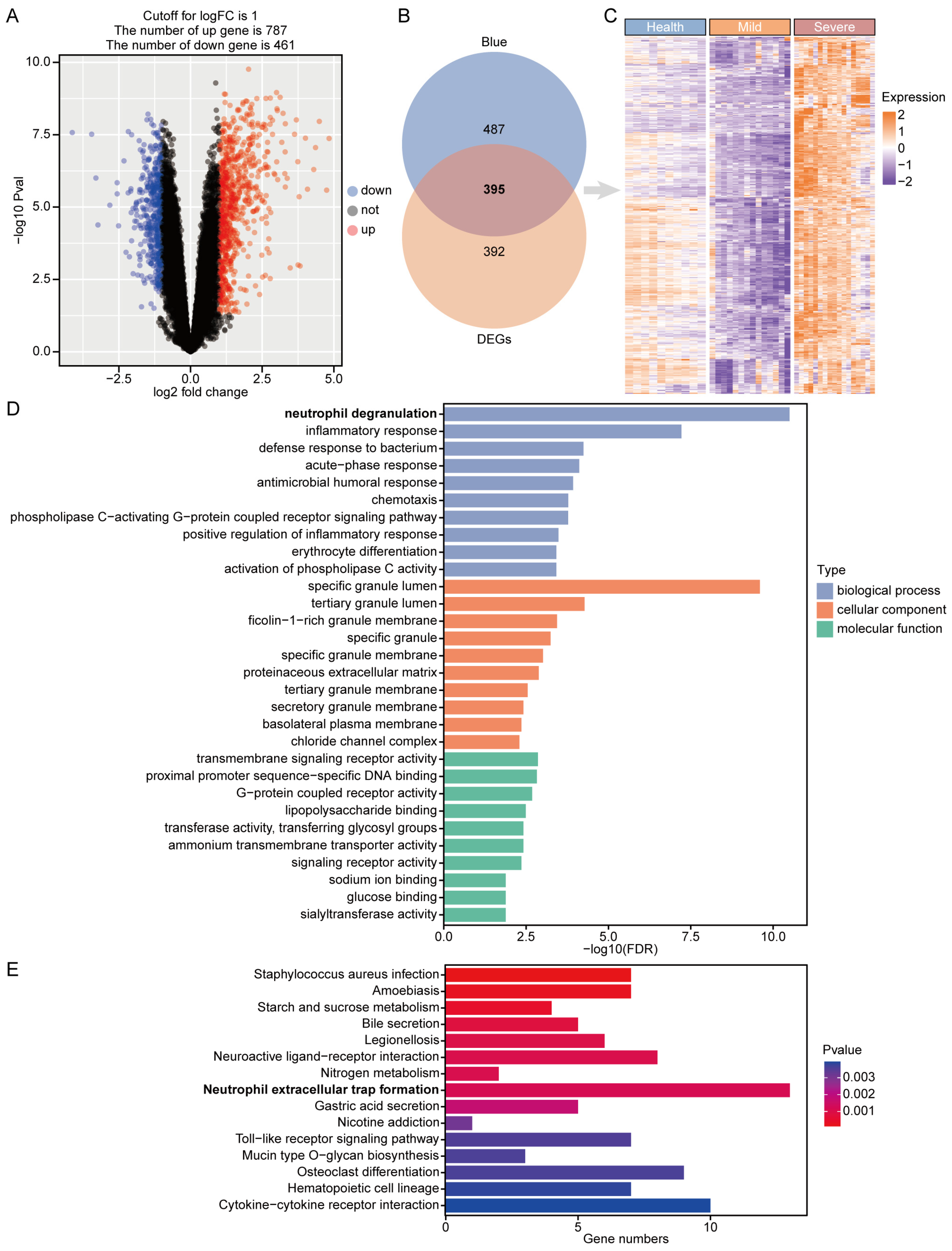 Microorganisms 12 00737 g003