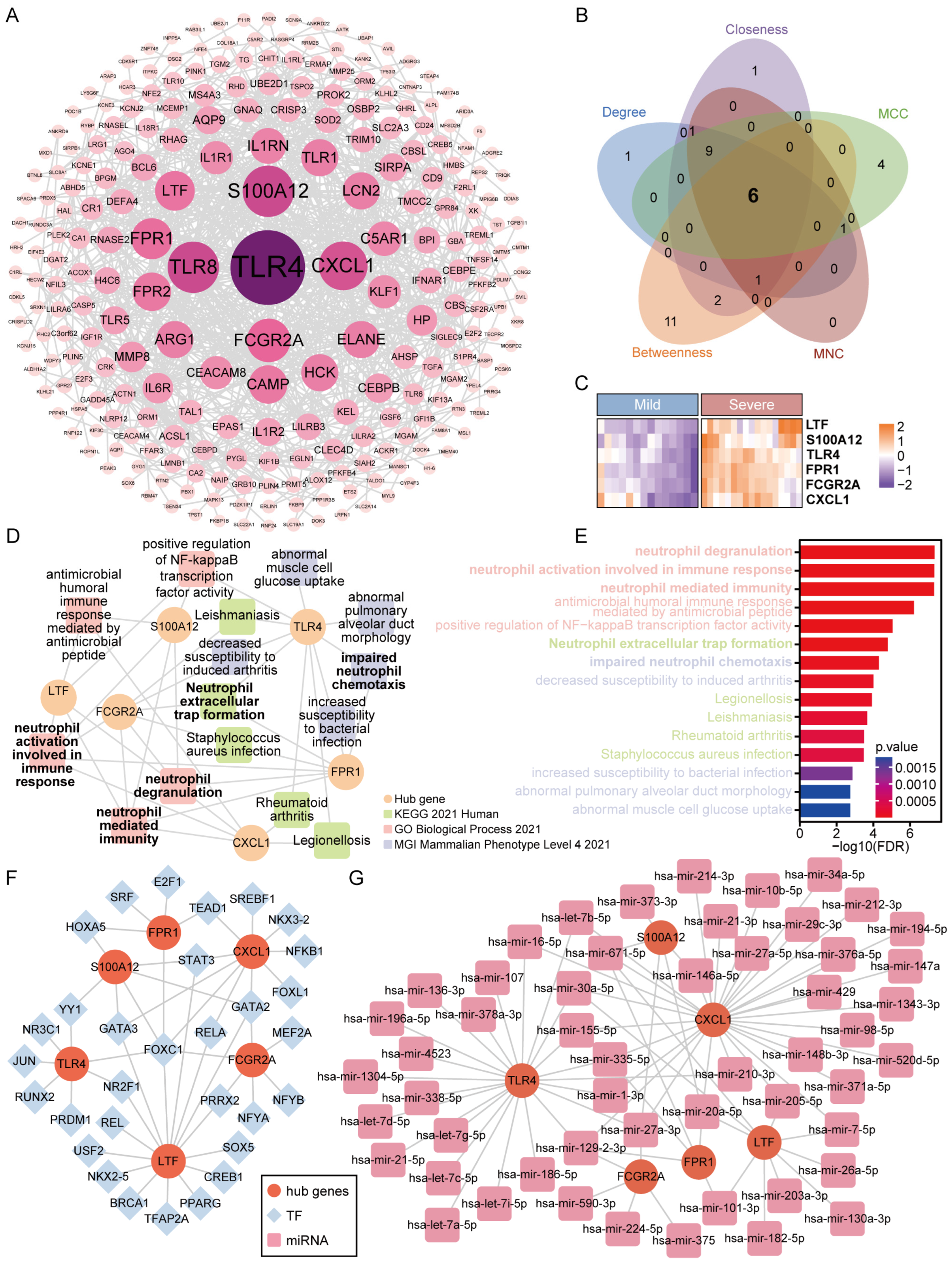 Microorganisms 12 00737 g004
