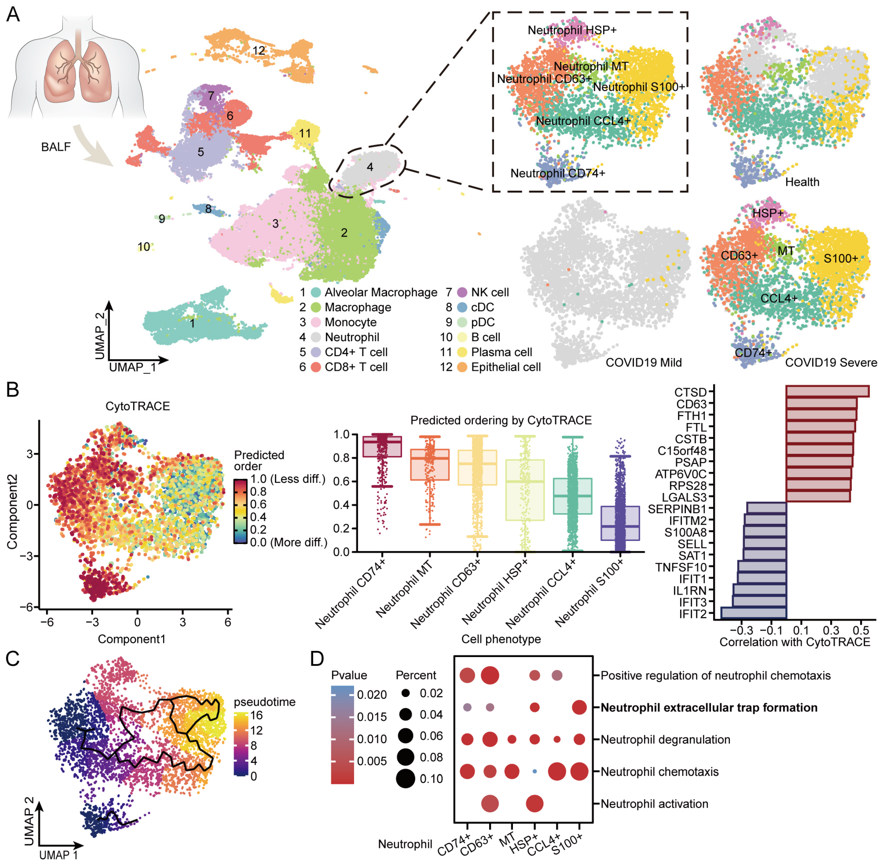 Microorganisms 12 00737 g007