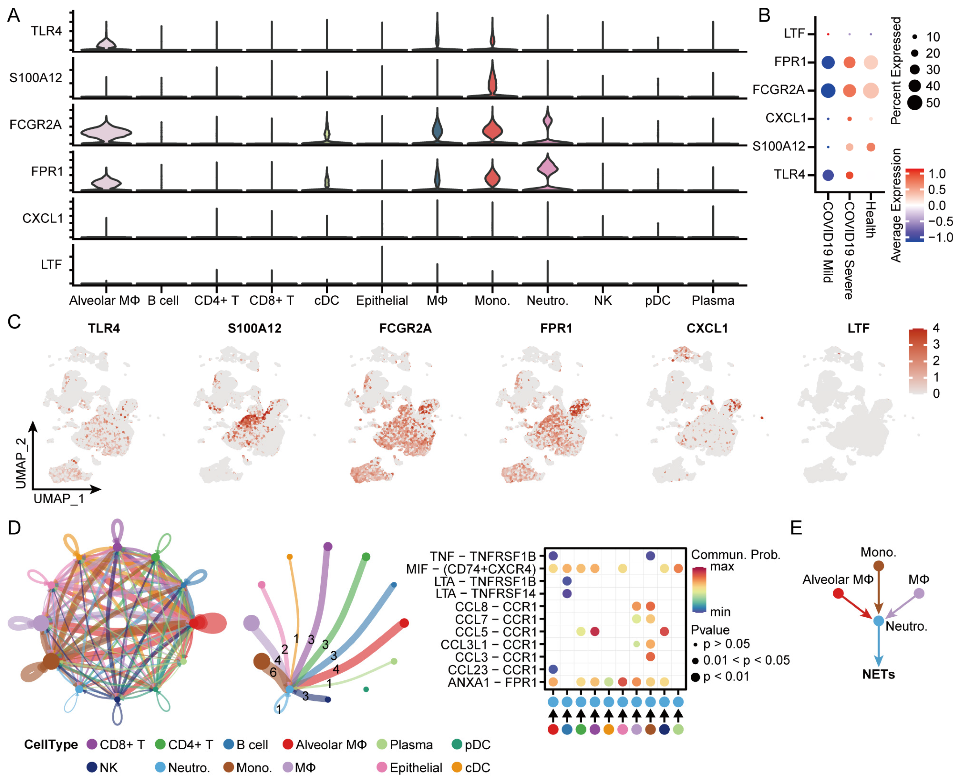 Microorganisms 12 00737 g008
