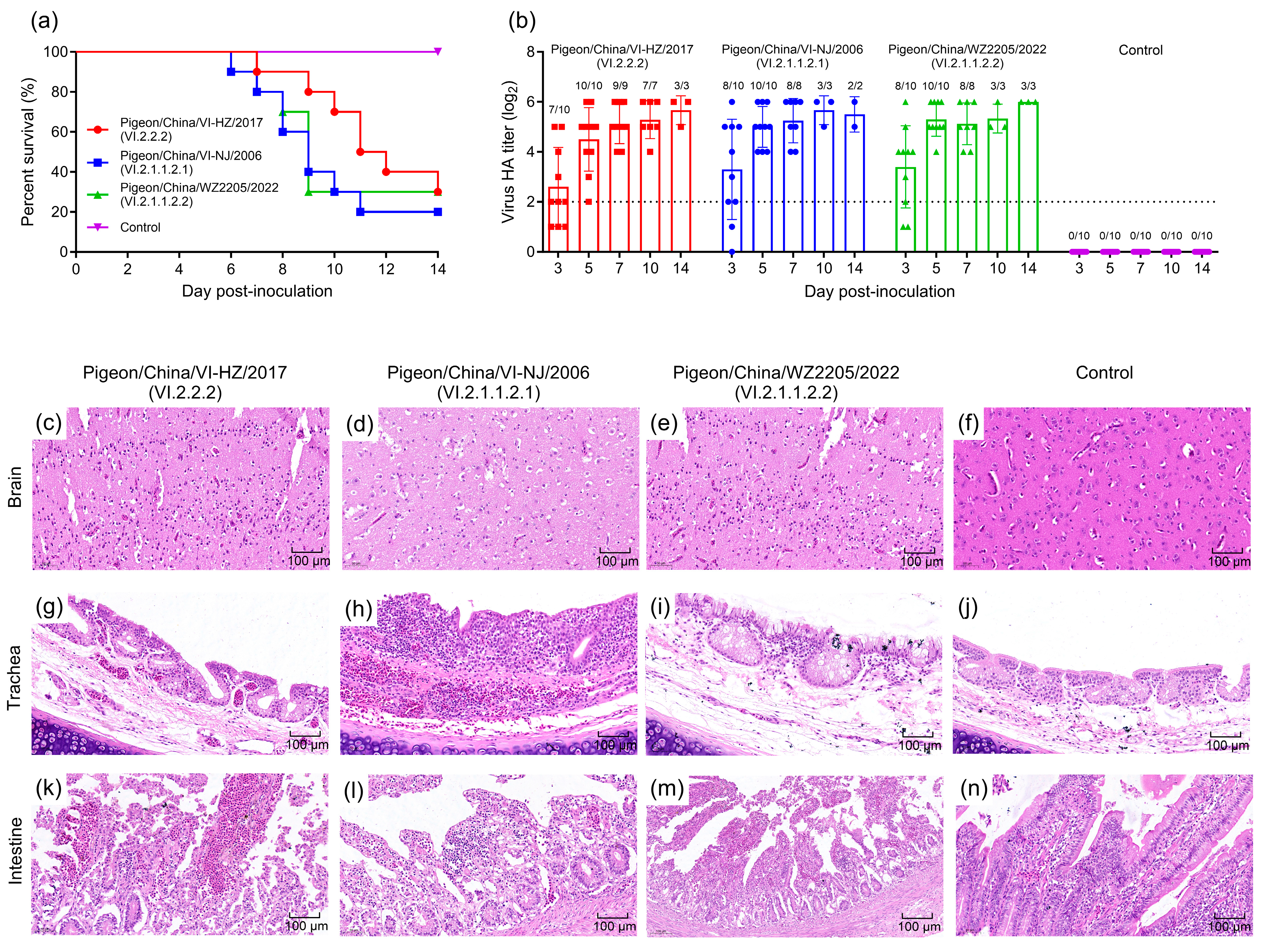 Microorganisms 12 00738 g003