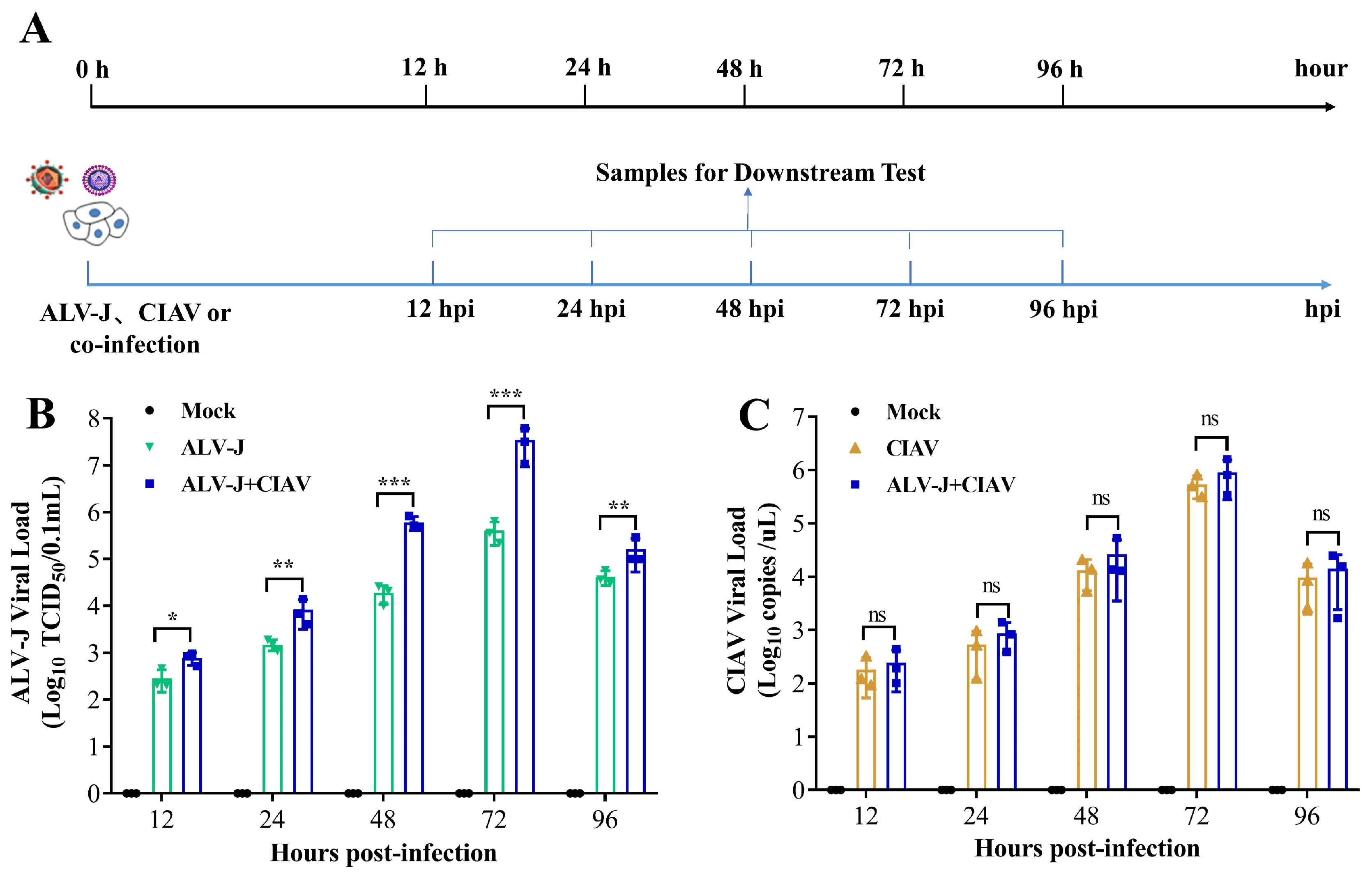 Microorganisms 12 00740 g001