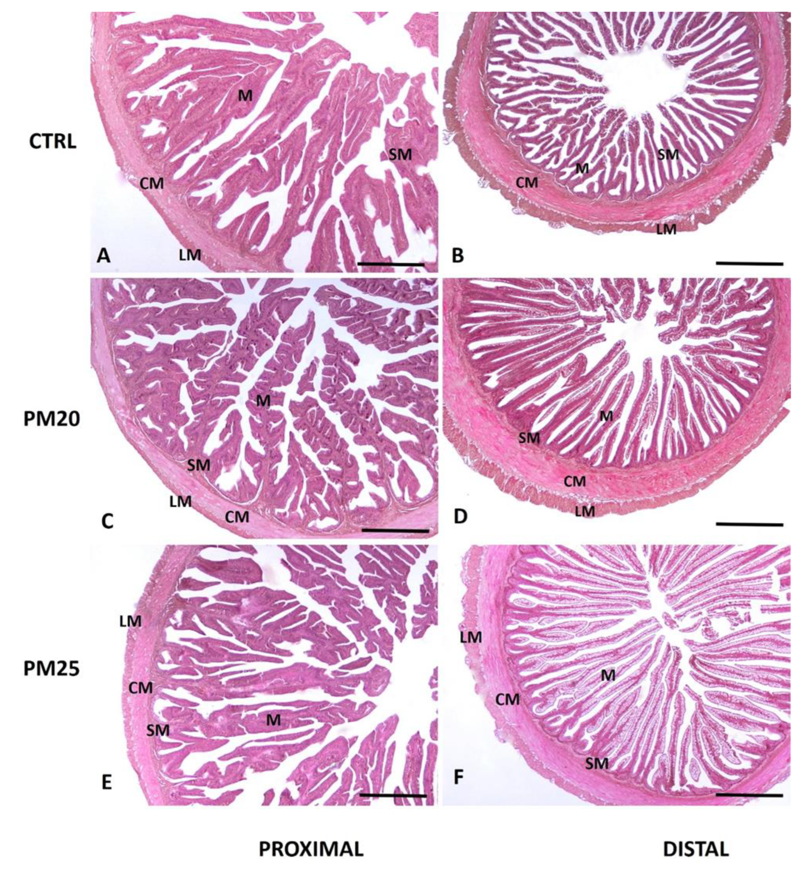 Microorganisms 12 00744 g001
