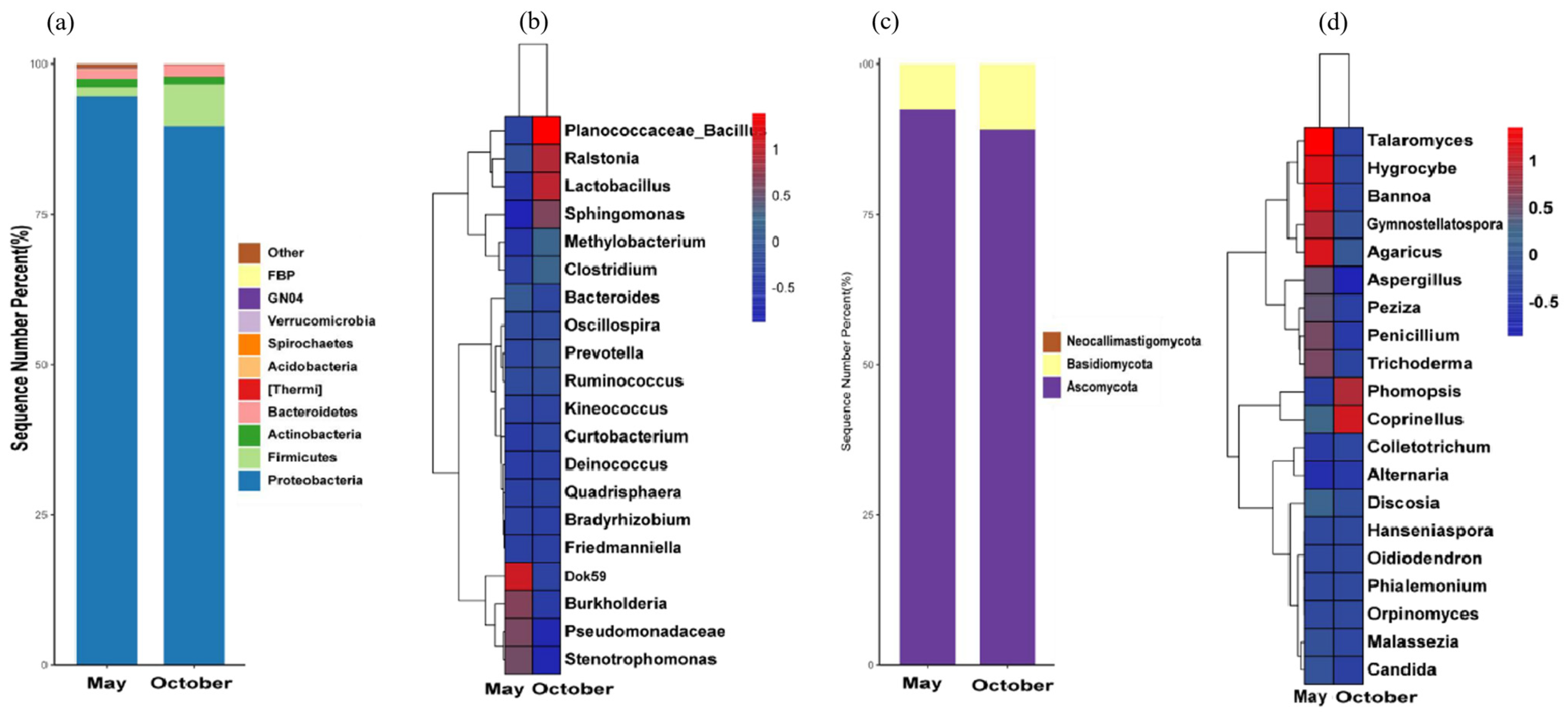 Microorganisms 12 00746 g005
