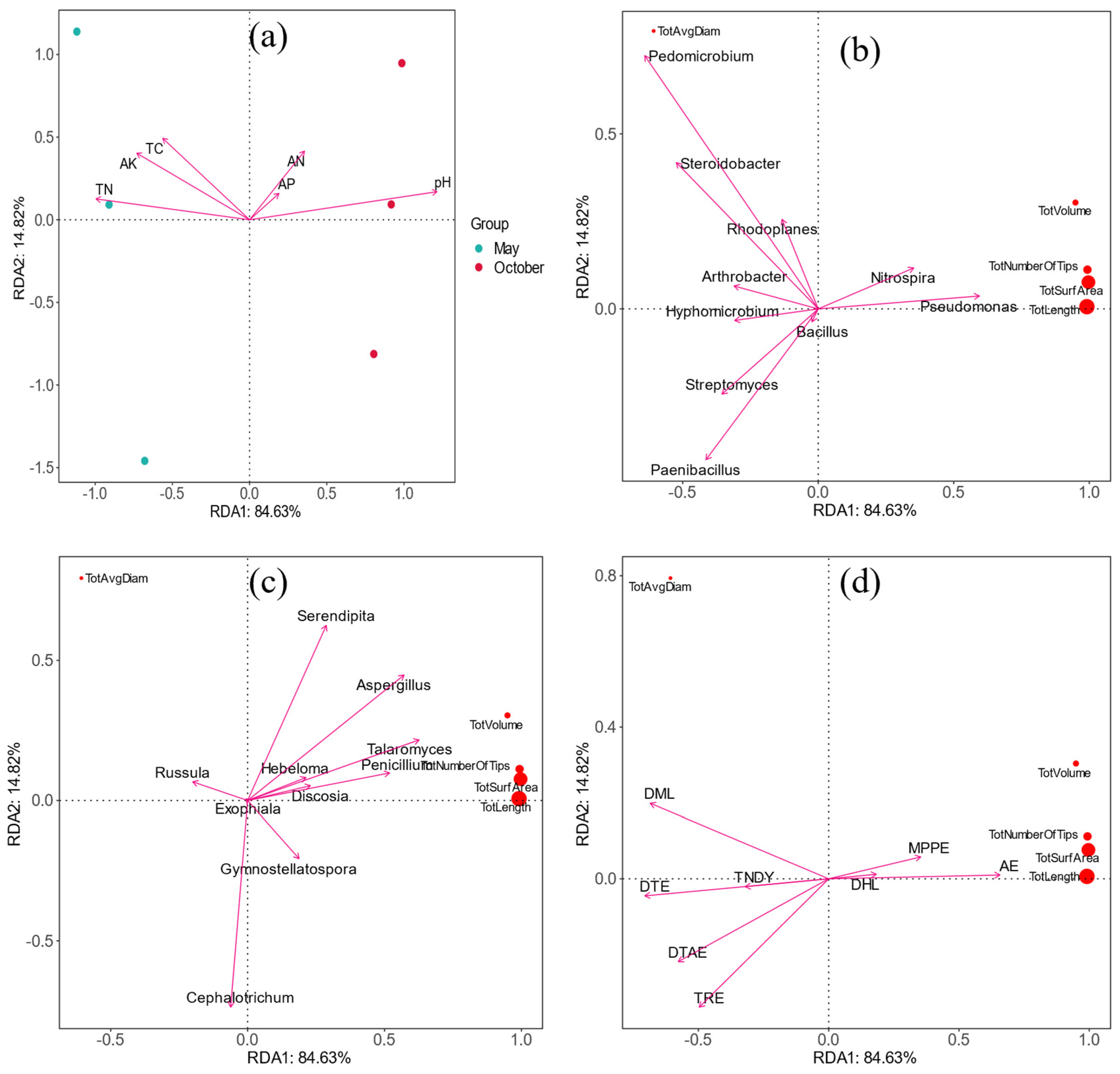 Microorganisms 12 00746 g009