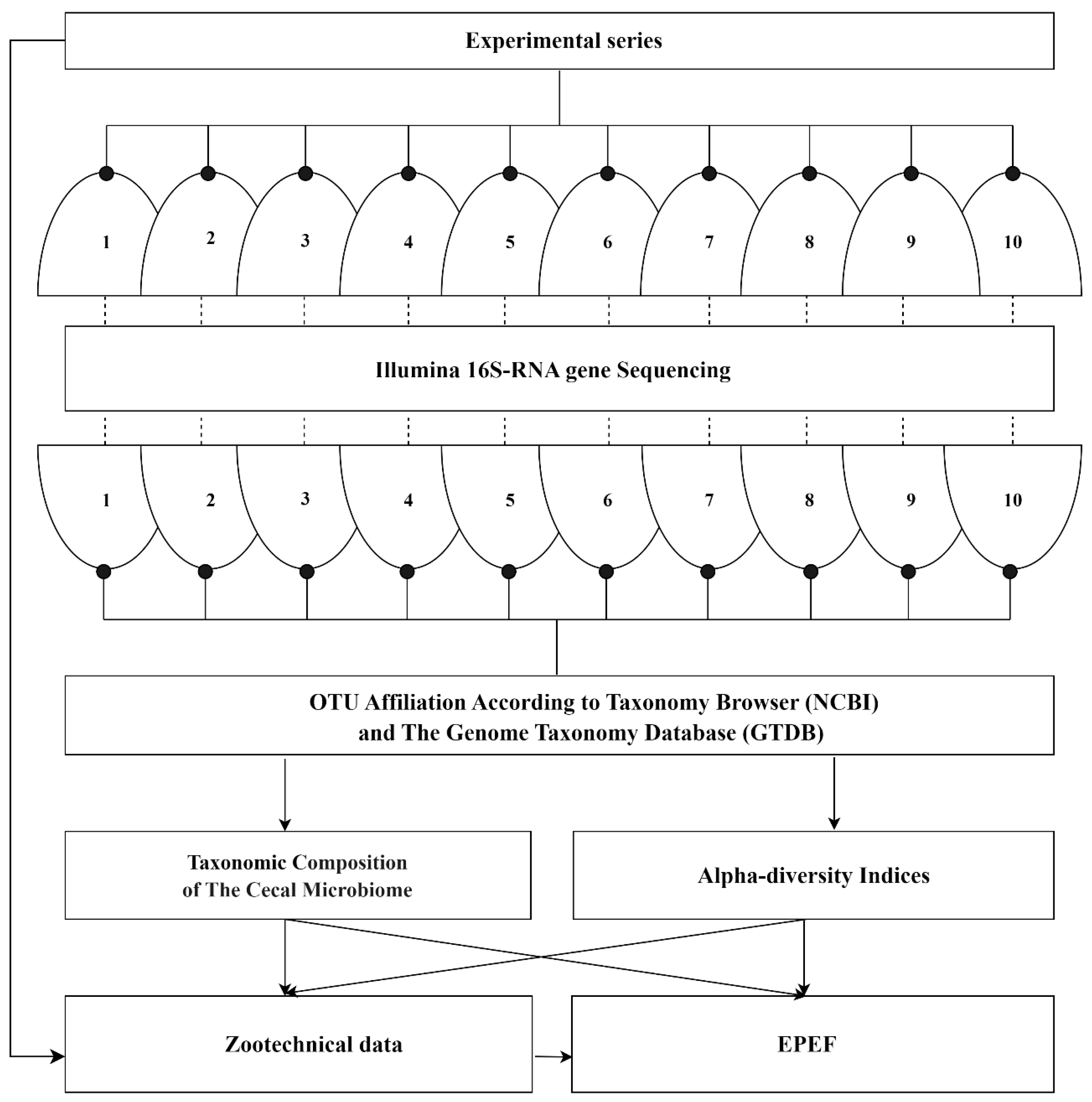 Microorganisms 12 00747 g001