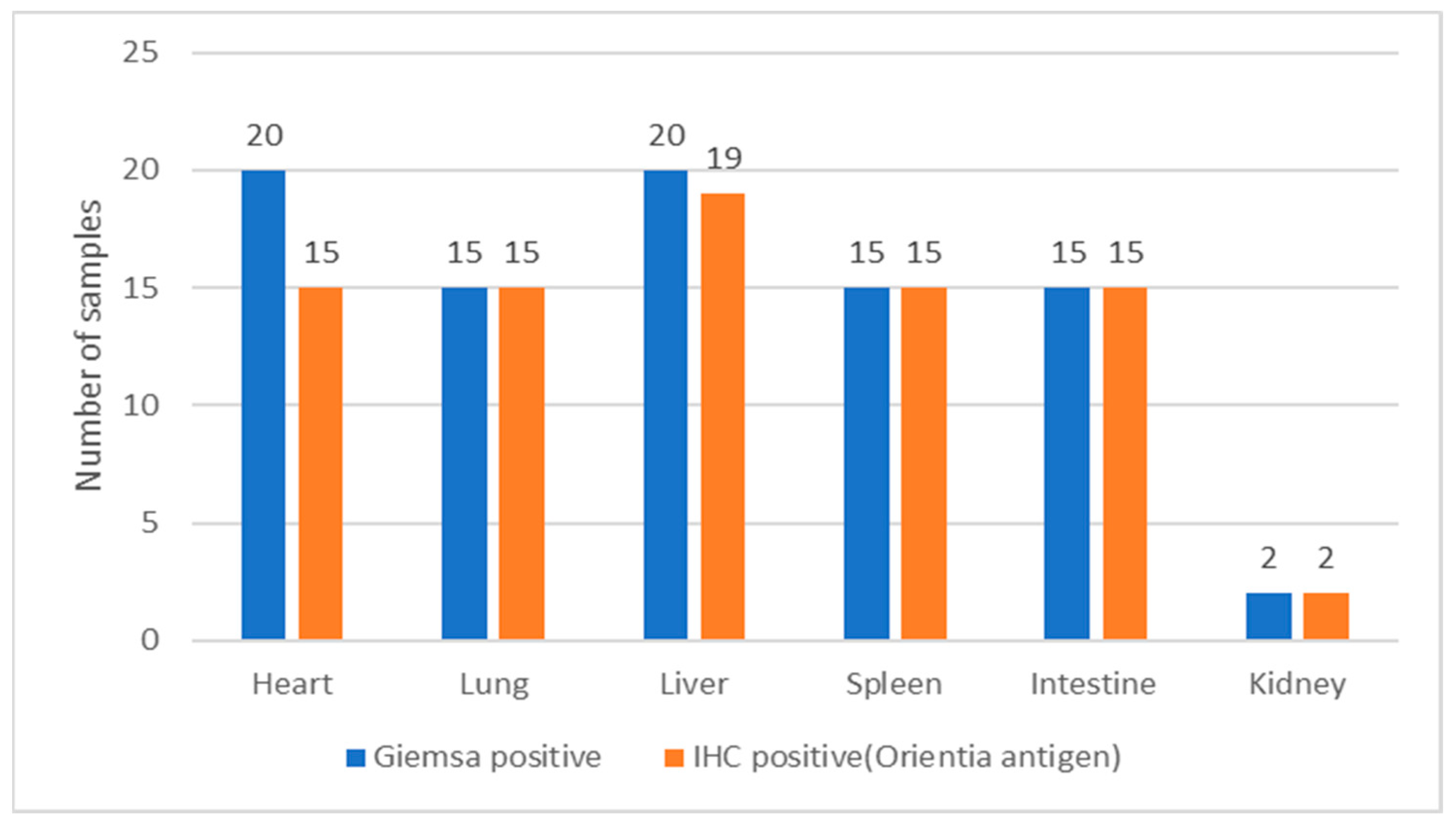Microorganisms 12 00748 g004