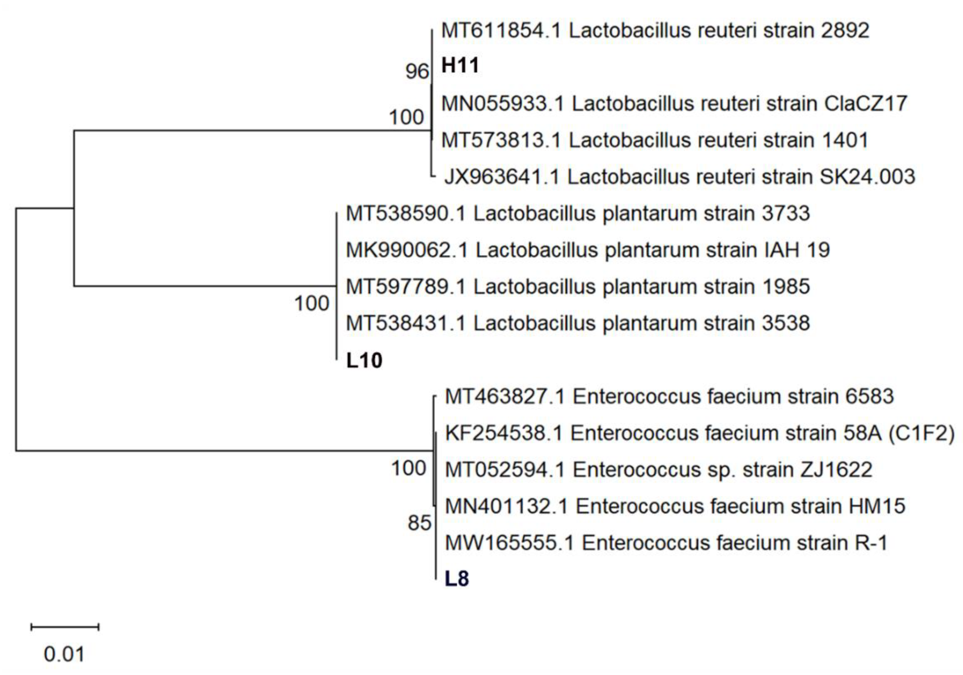 Microorganisms 12 00749 g004 Microorganisms 12 00749 g004