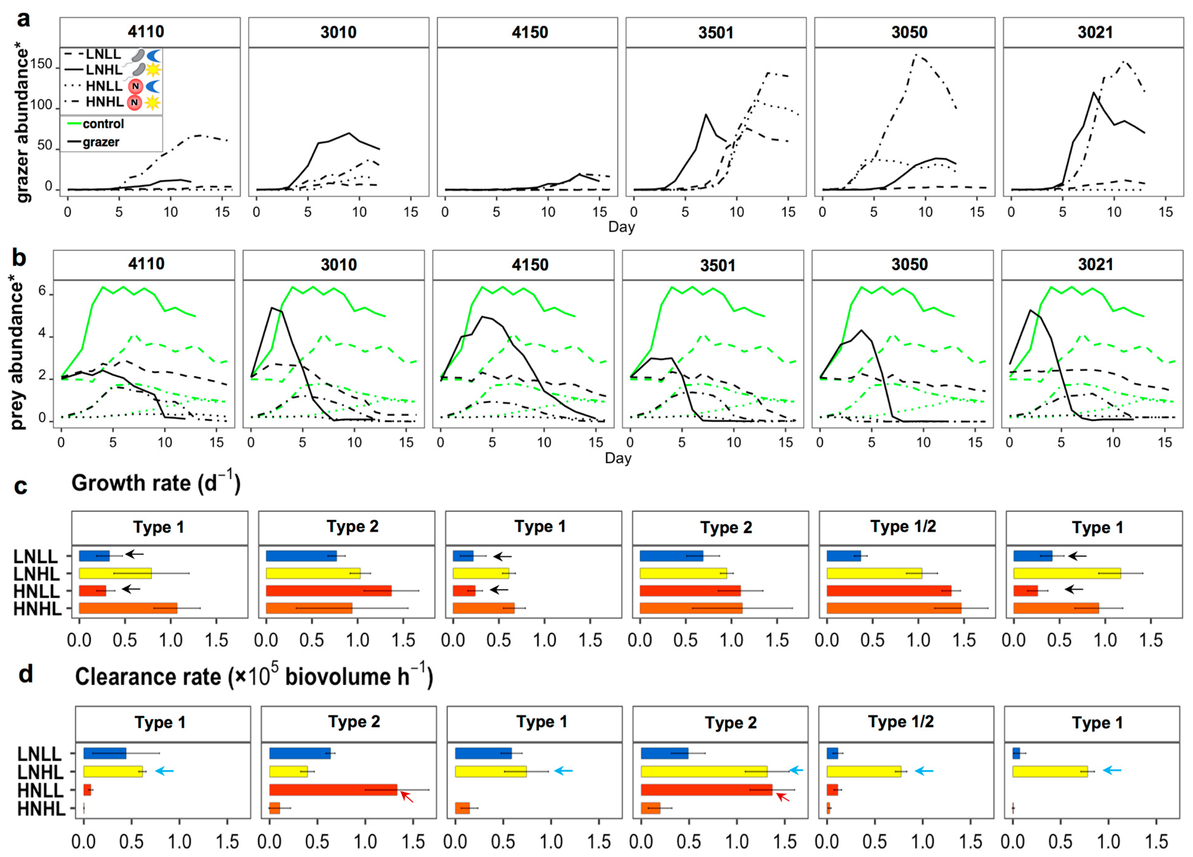 Microorganisms 12 00750 g006