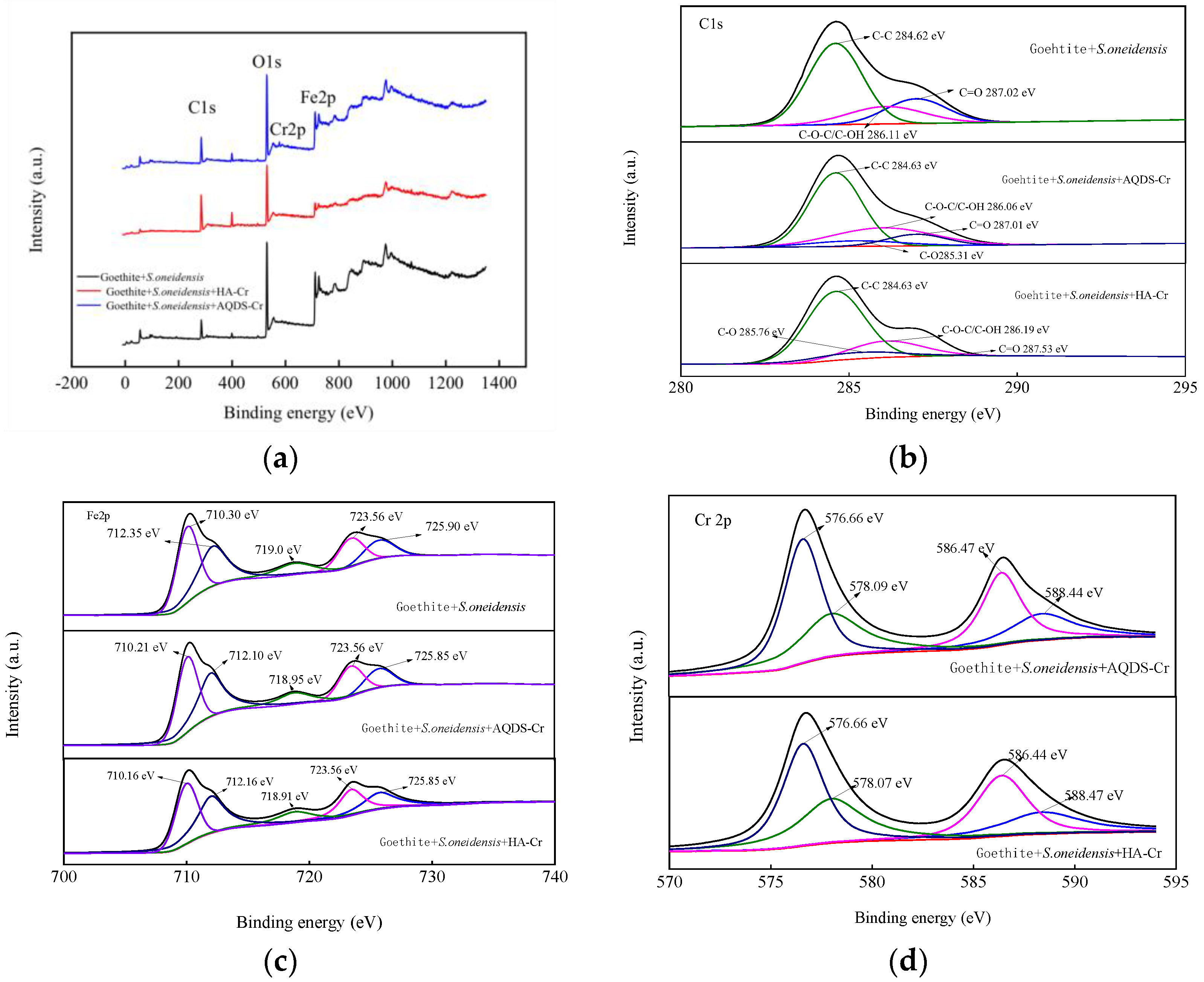 Microorganisms 12 00754 g011 Microorganisms 12 00754 g011