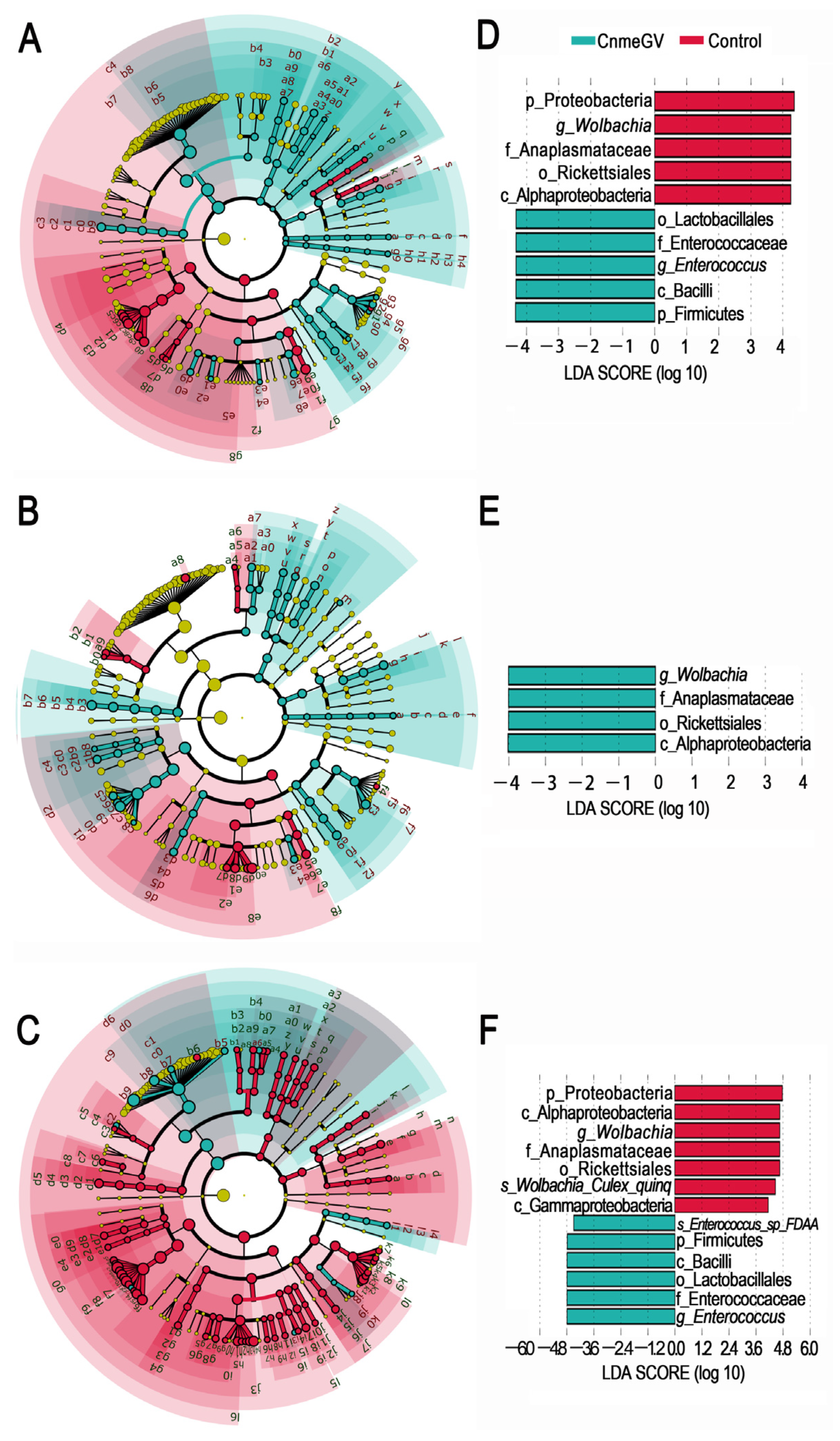 Microorganisms 12 00757 g004