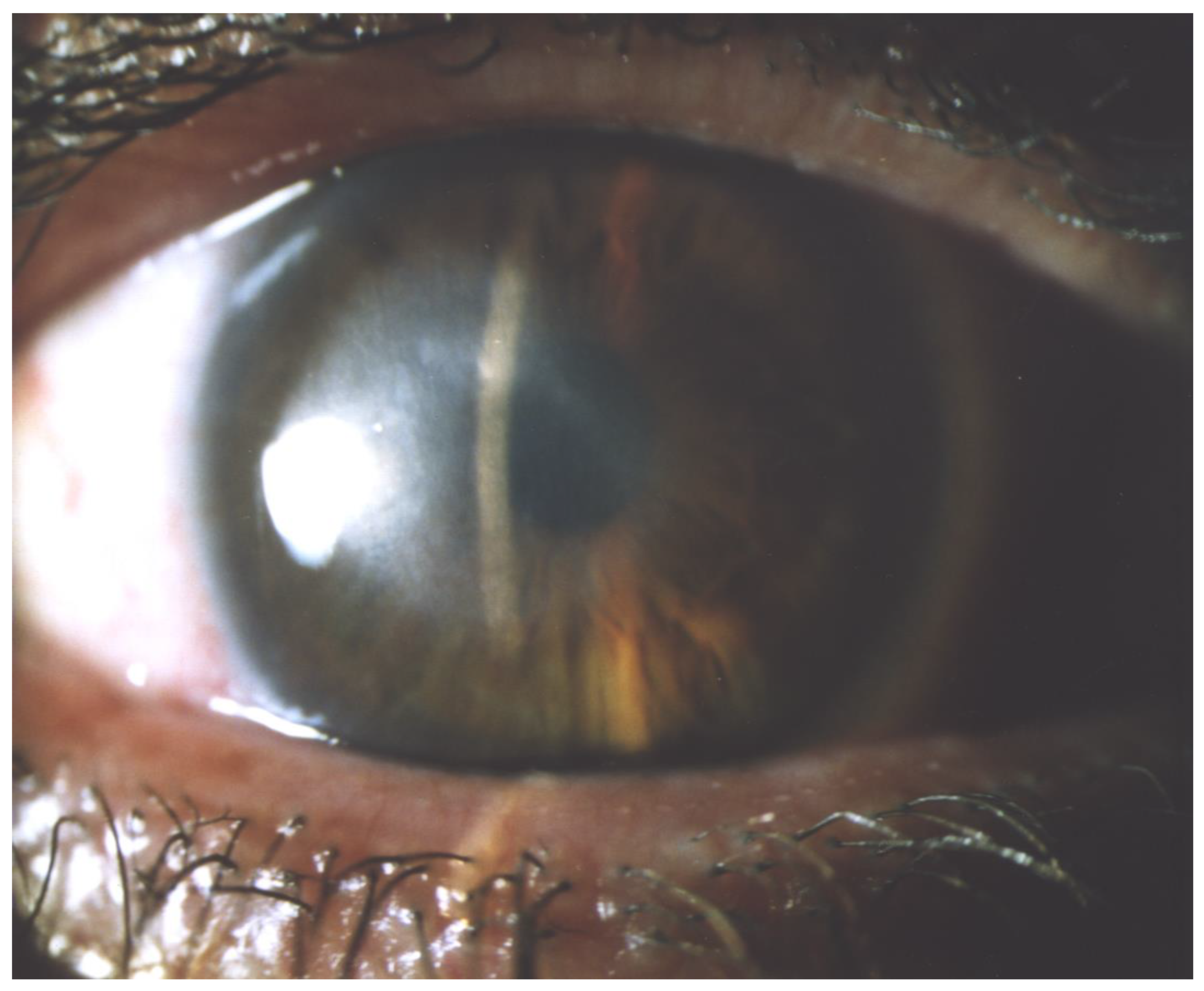 Microorganisms 12 00758 g003