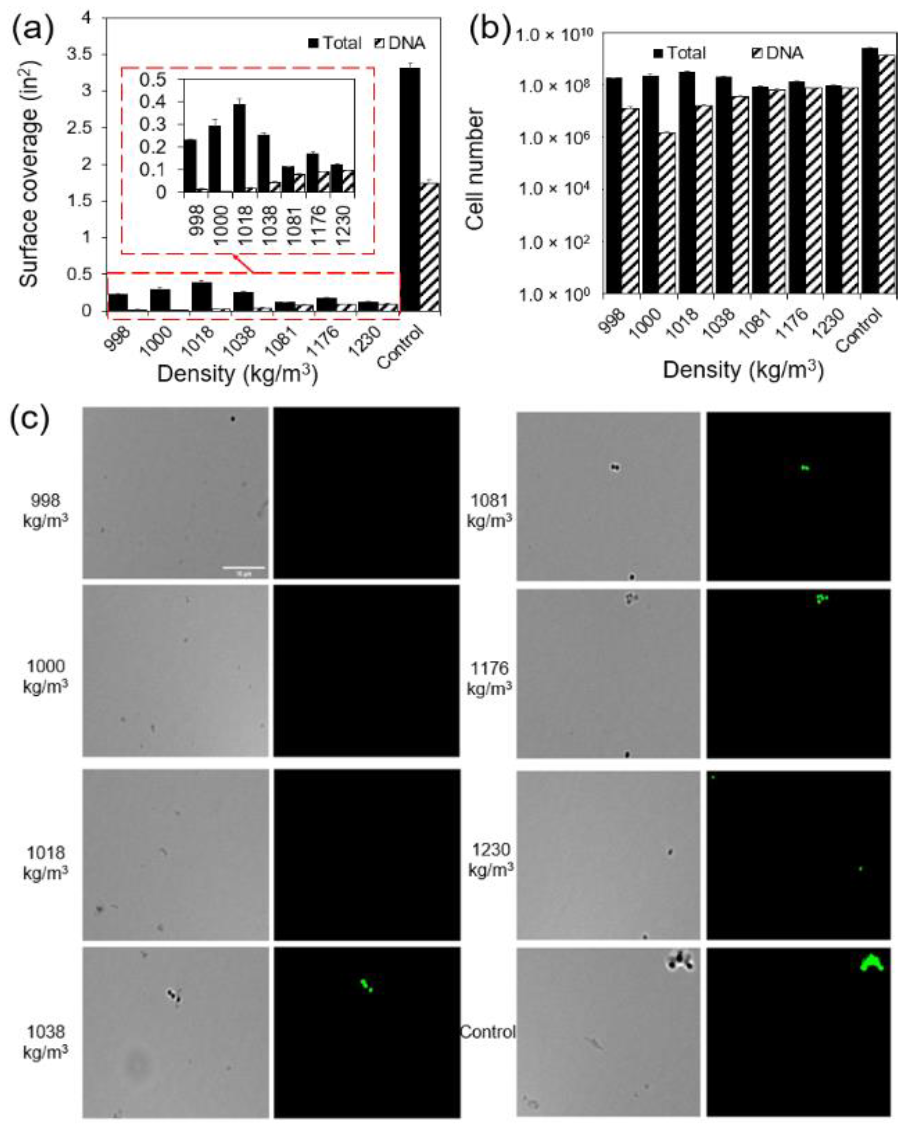 Microorganisms 12 00759 g005 Microorganisms 12 00759 g005