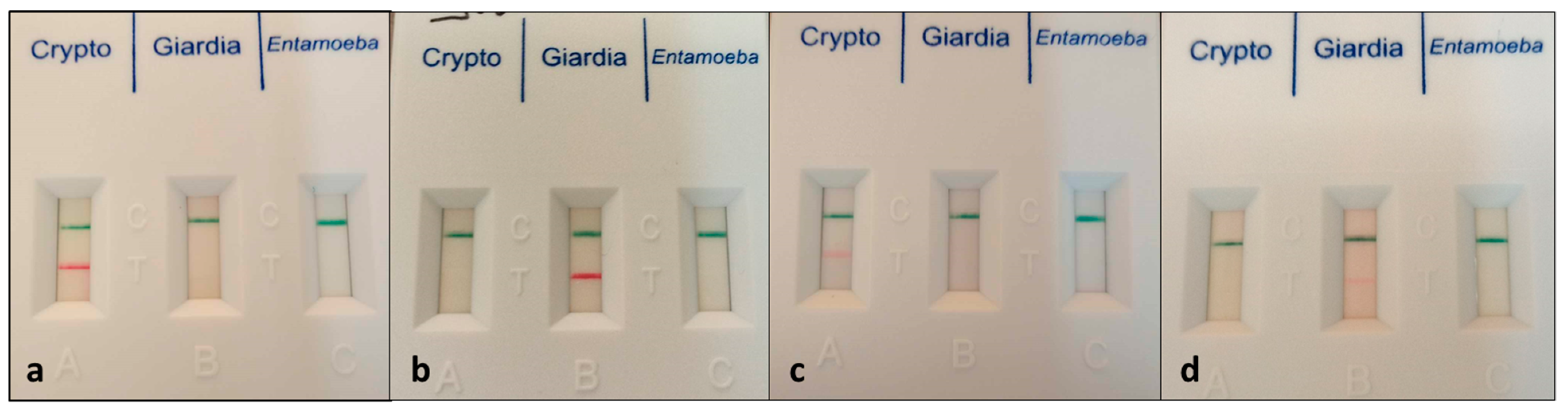 Microorganisms 12 00762 g001