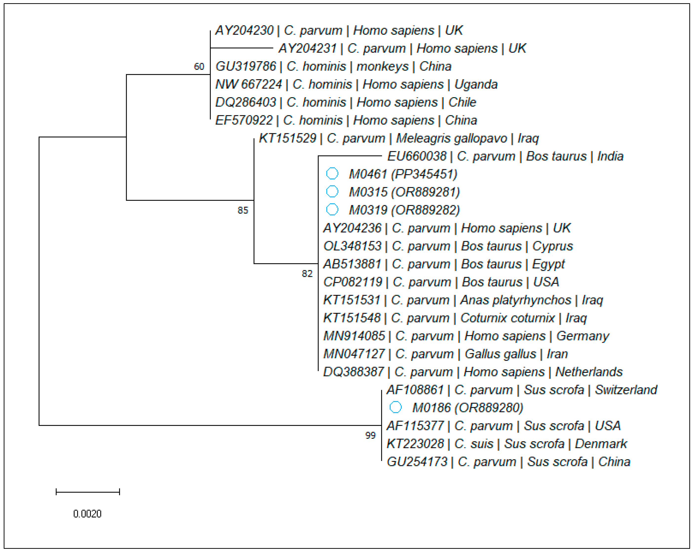 Microorganisms 12 00762 g002