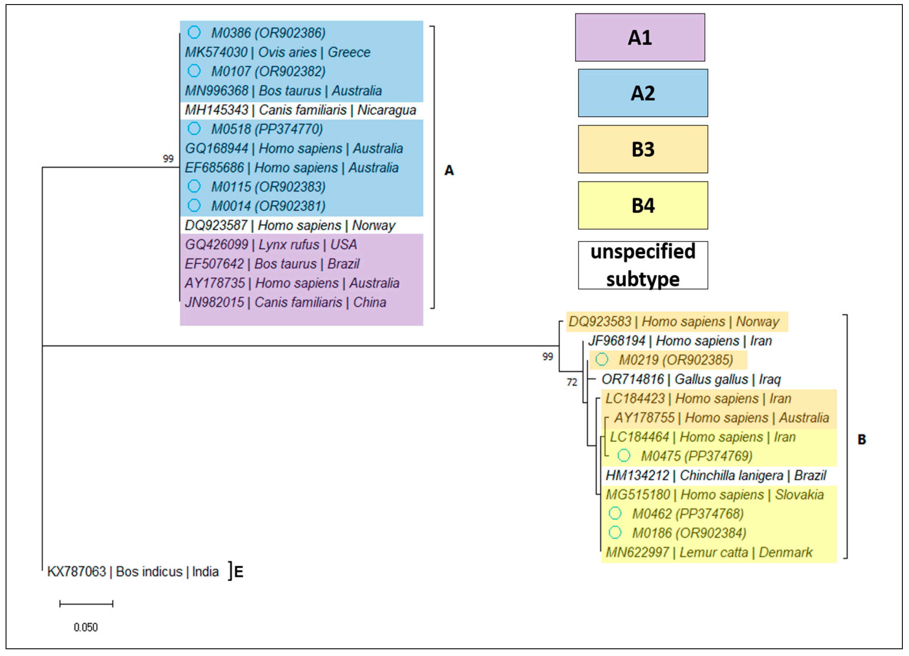 Microorganisms 12 00762 g005