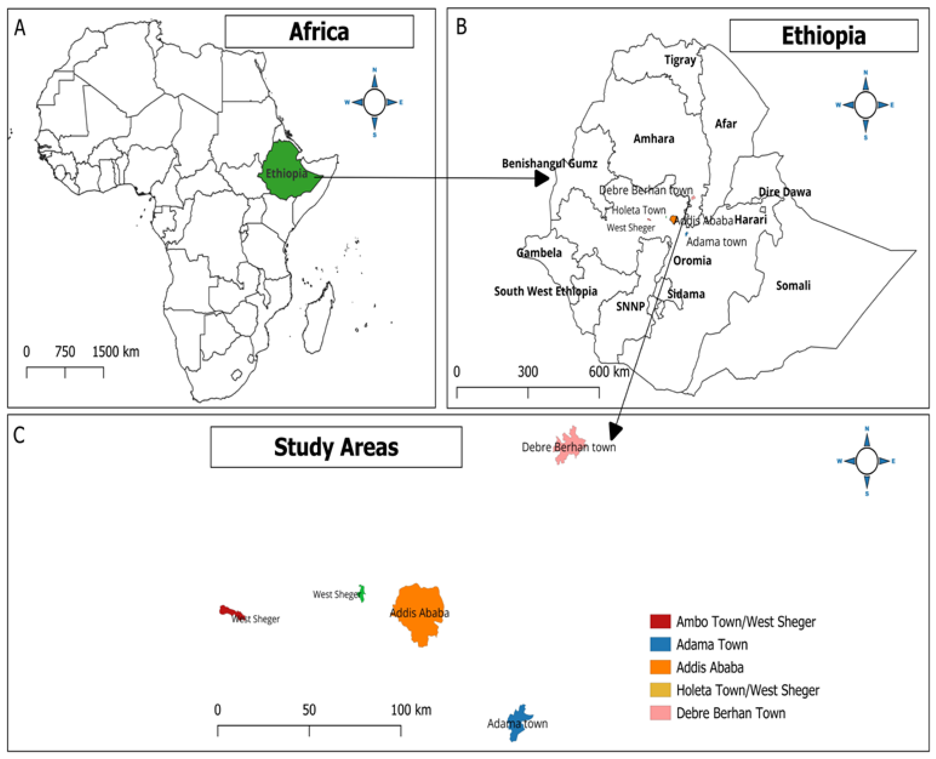 Microorganisms 12 00767 g001