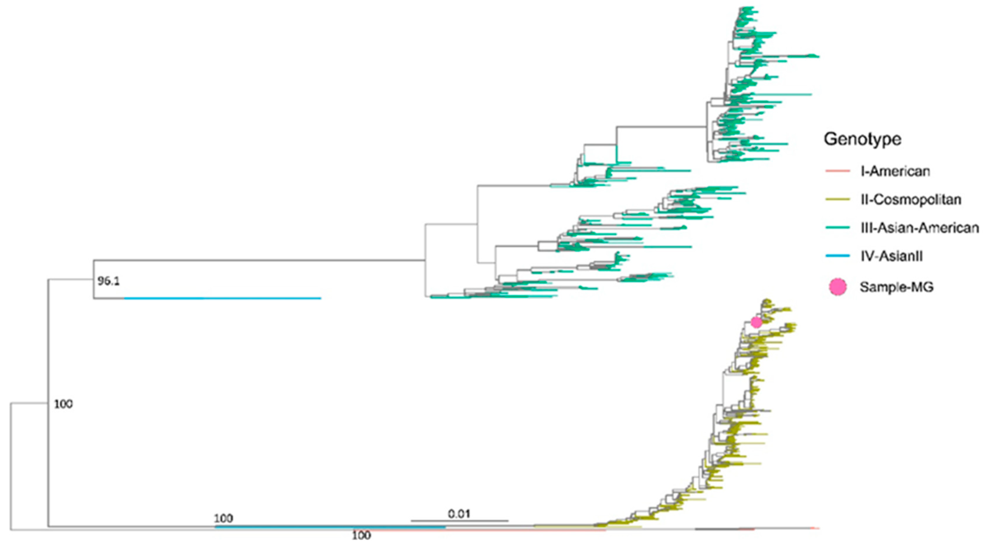 Microorganisms 12 00769 g003