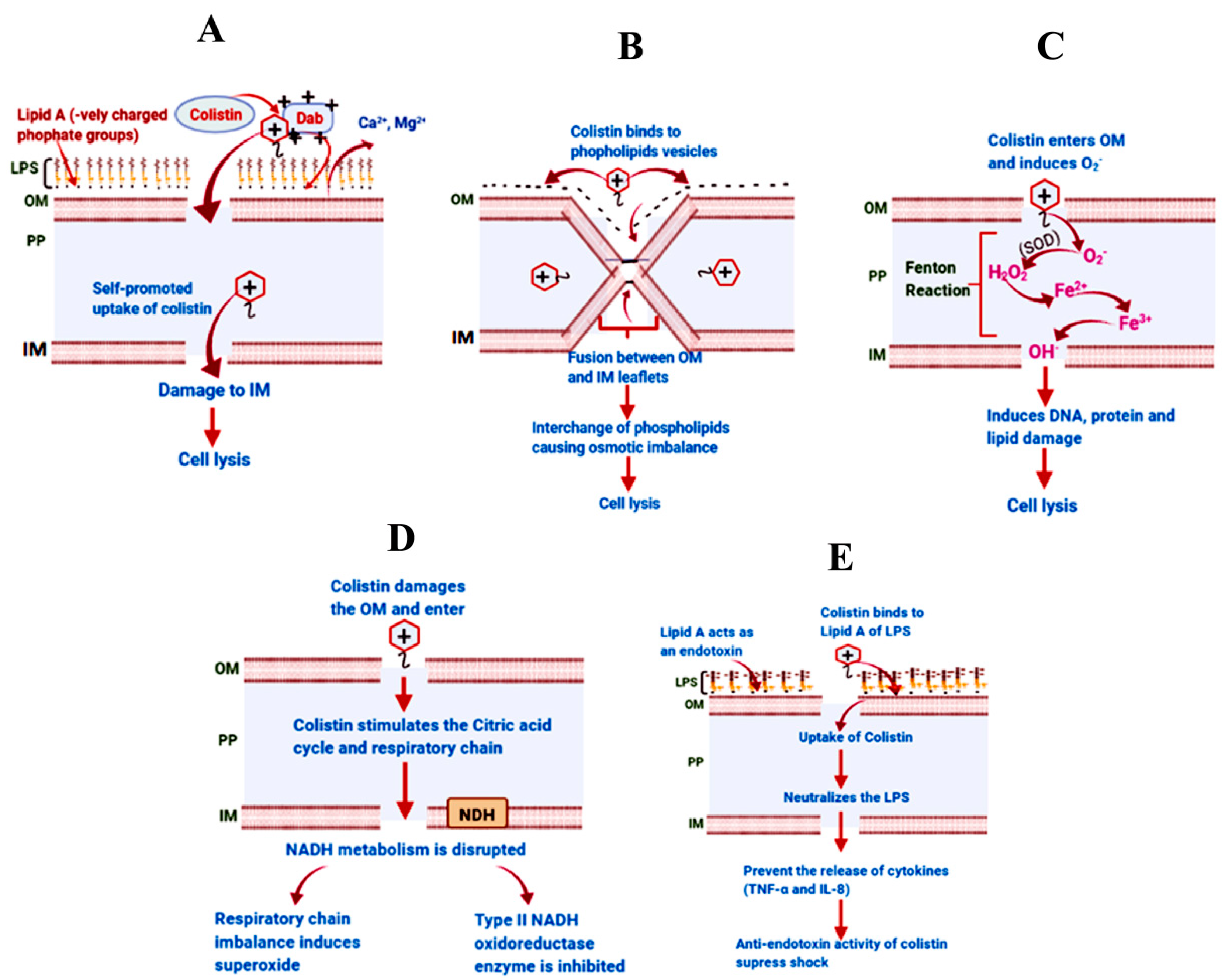 Microorganisms 12 00772 g001 Microorganisms 12 00772 g001