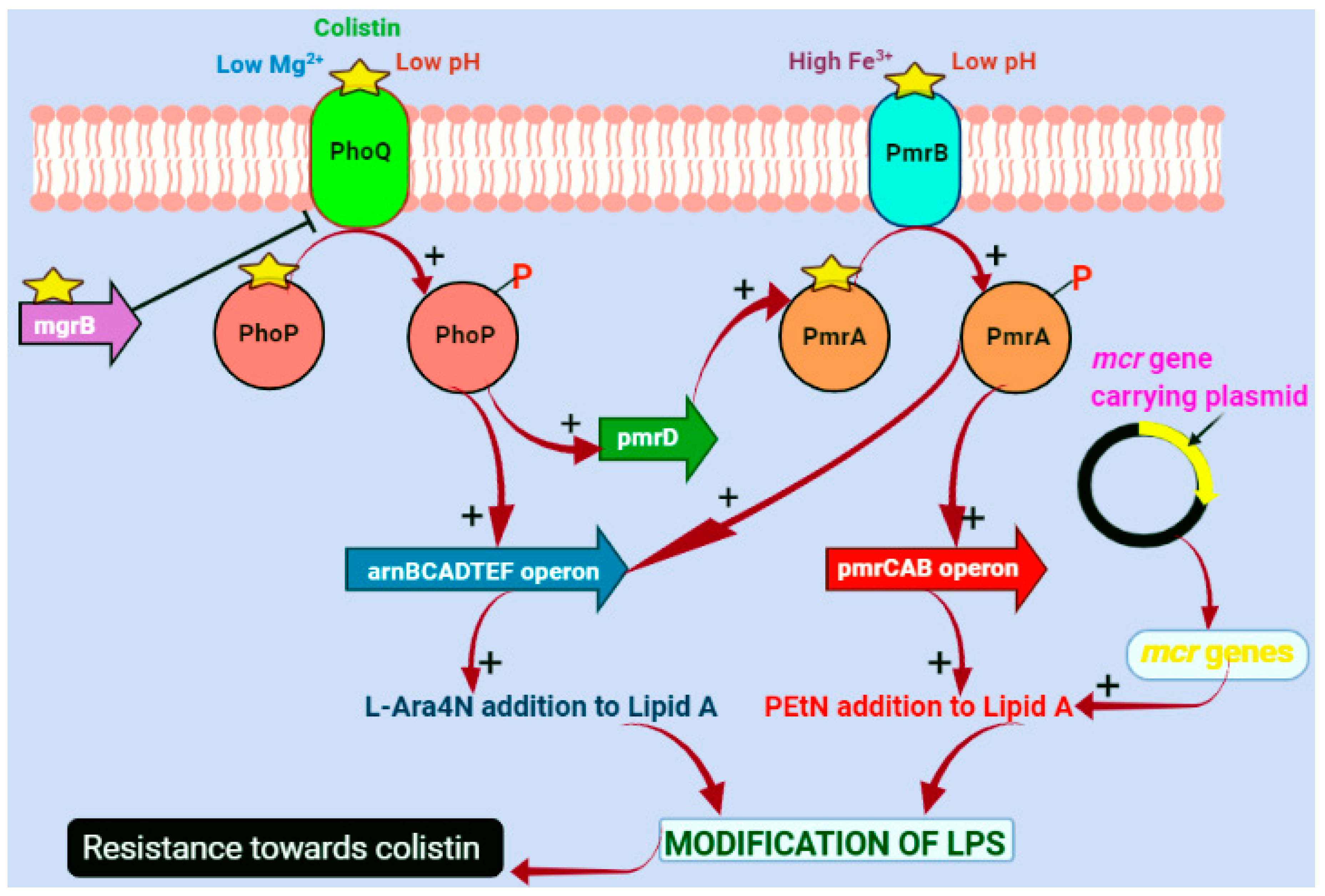 Microorganisms 12 00772 g002 Microorganisms 12 00772 g002