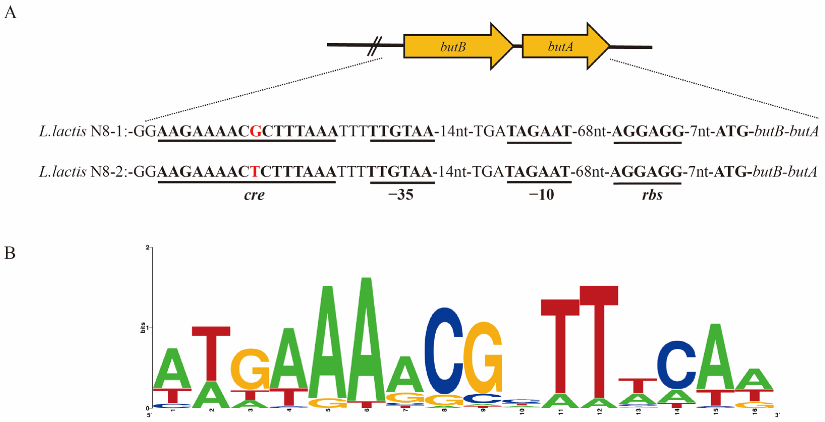Microorganisms 12 00773 g004 Microorganisms 12 00773 g004