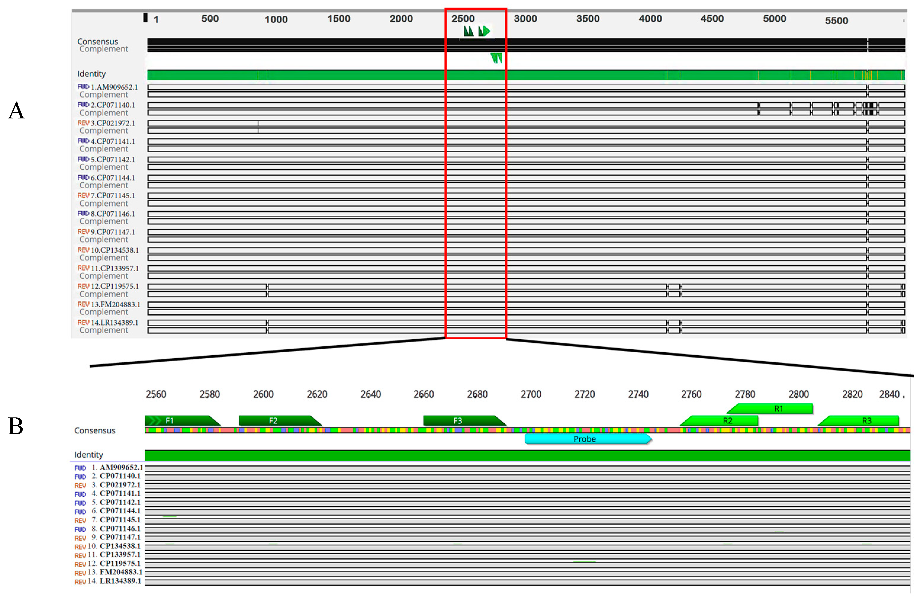 Microorganisms 12 00777 g001