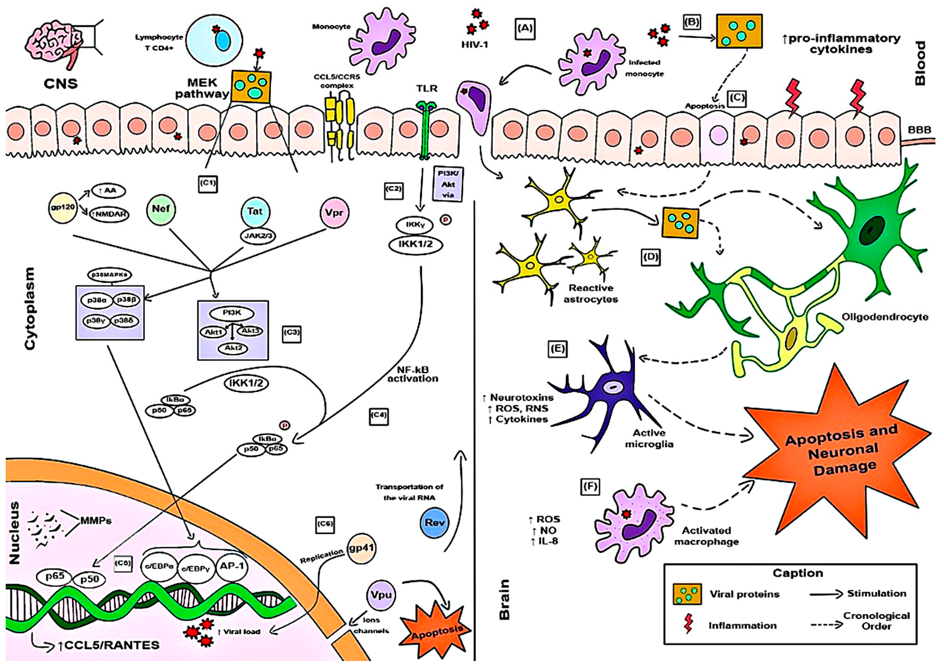 Microorganisms 12 00782 g002 Microorganisms 12 00782 g002