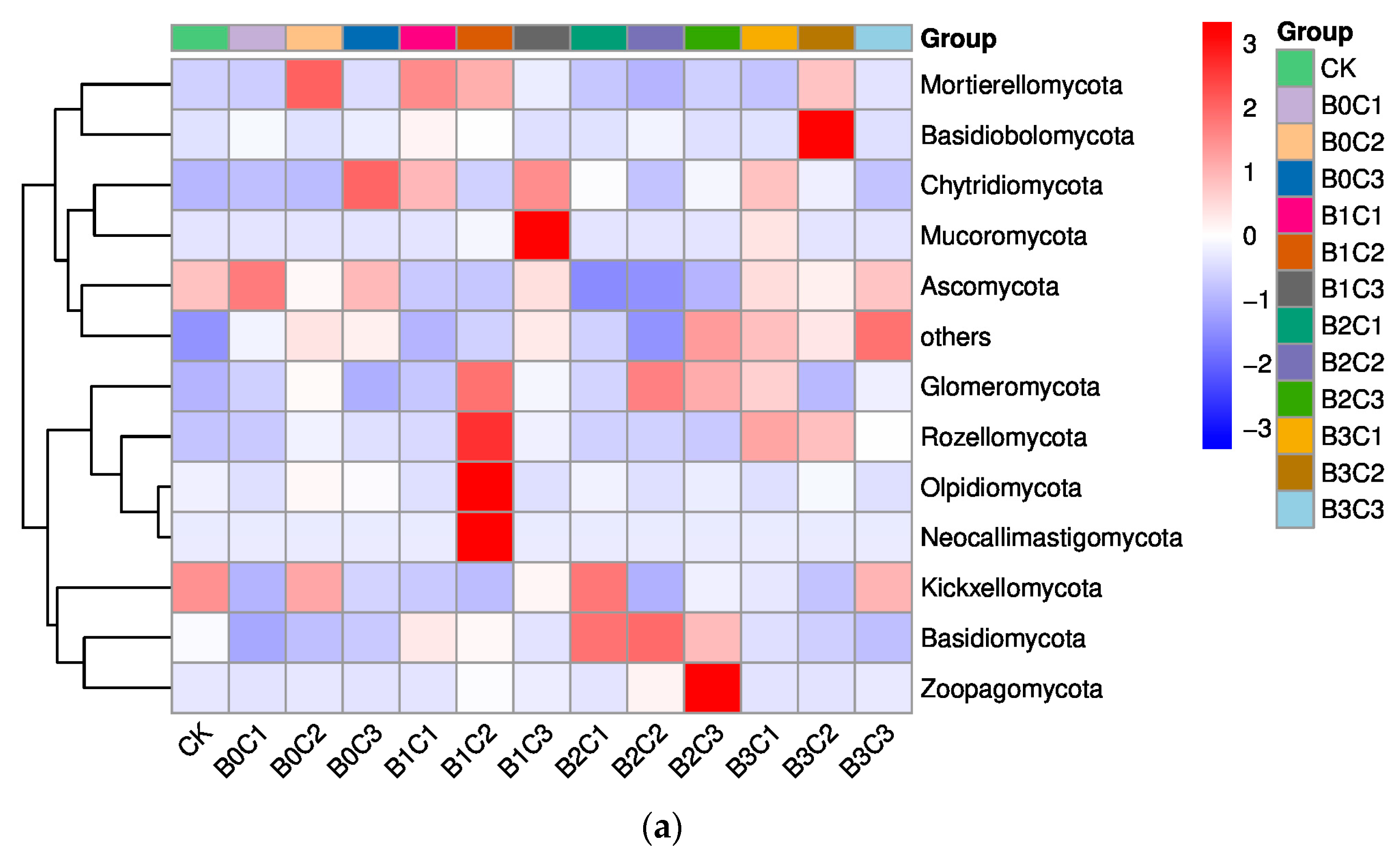 Microorganisms 12 00783 g002a