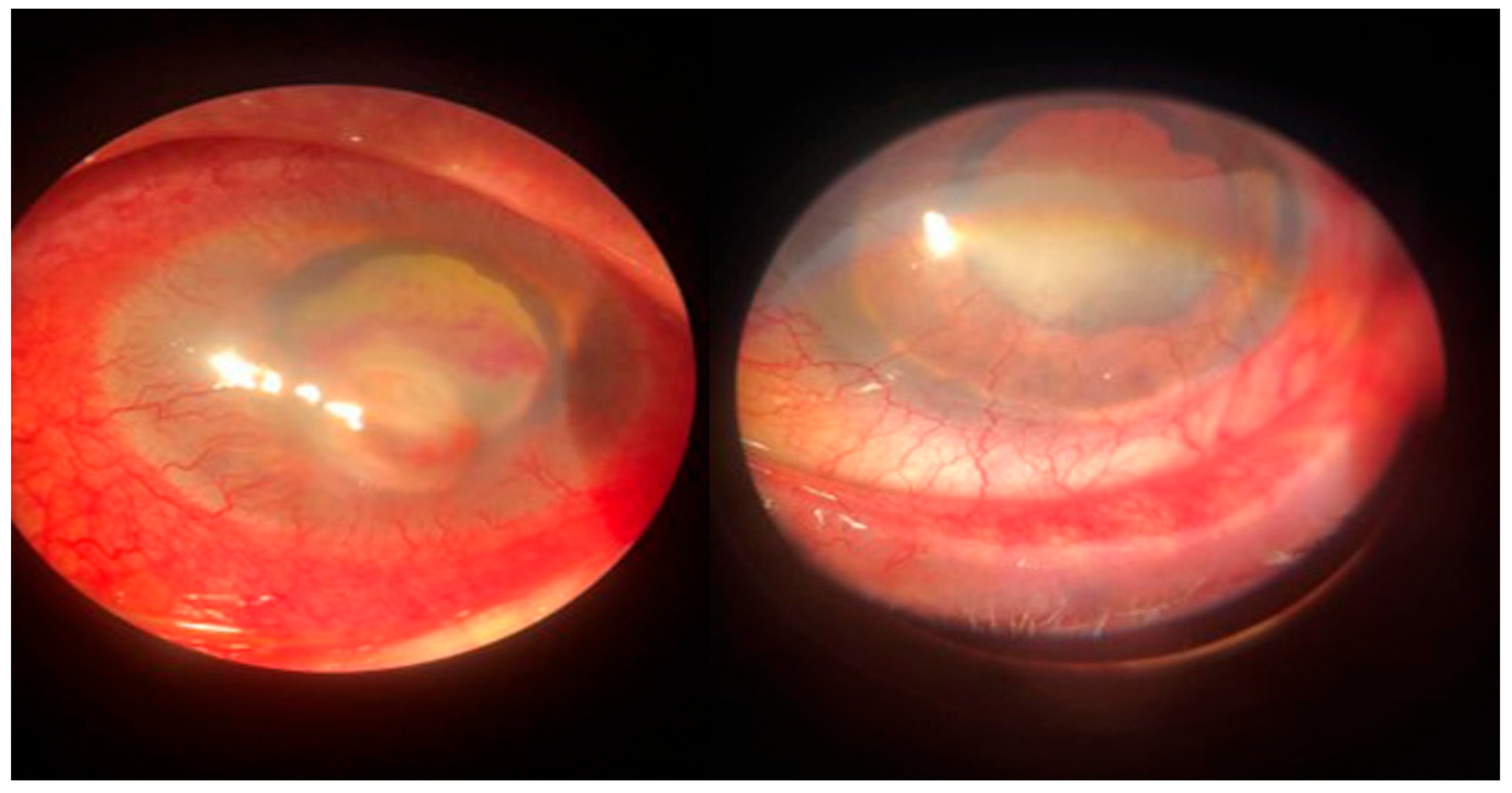 Microorganisms 12 00787 g002 Microorganisms 12 00787 g002