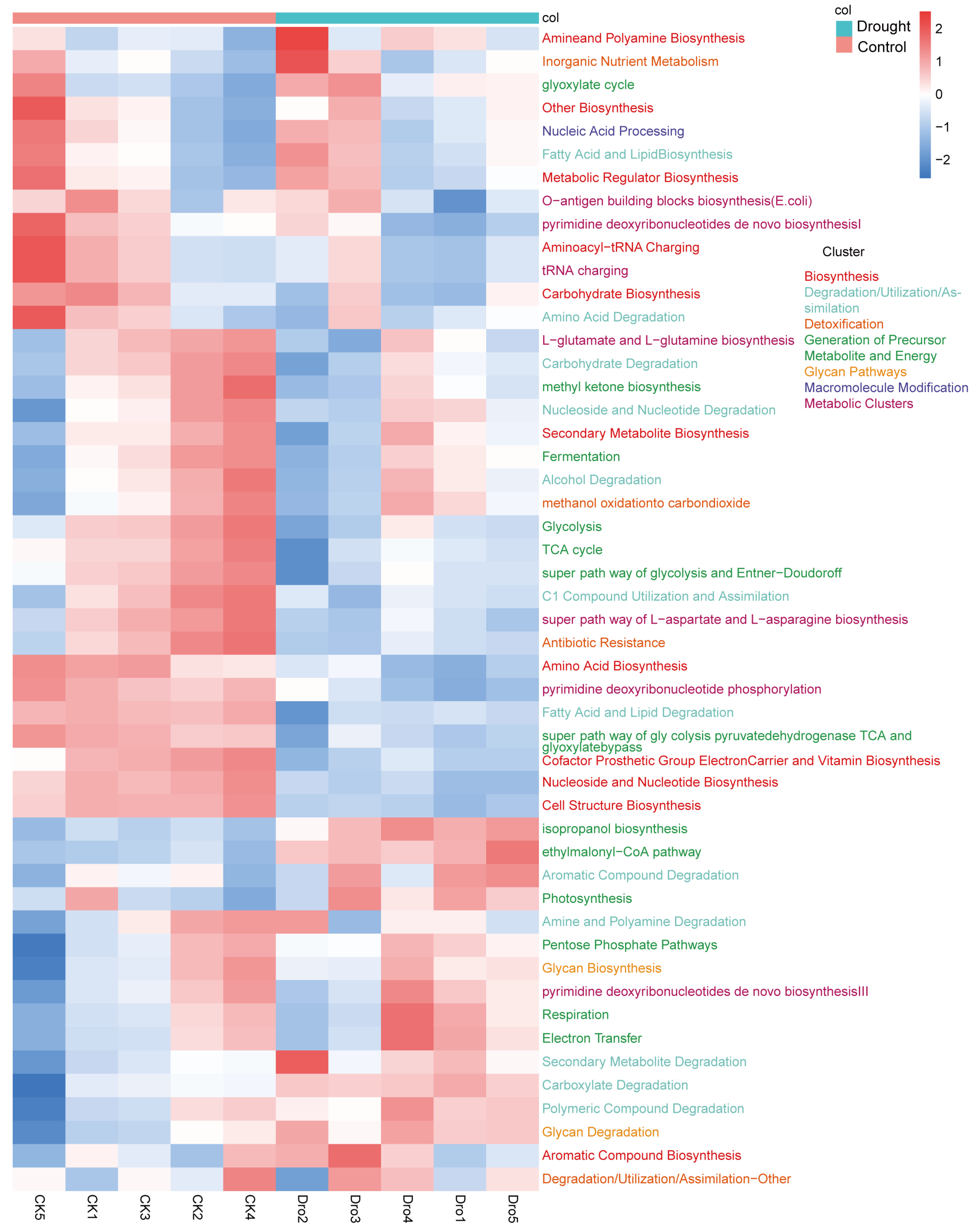 Microorganisms 12 00790 g008