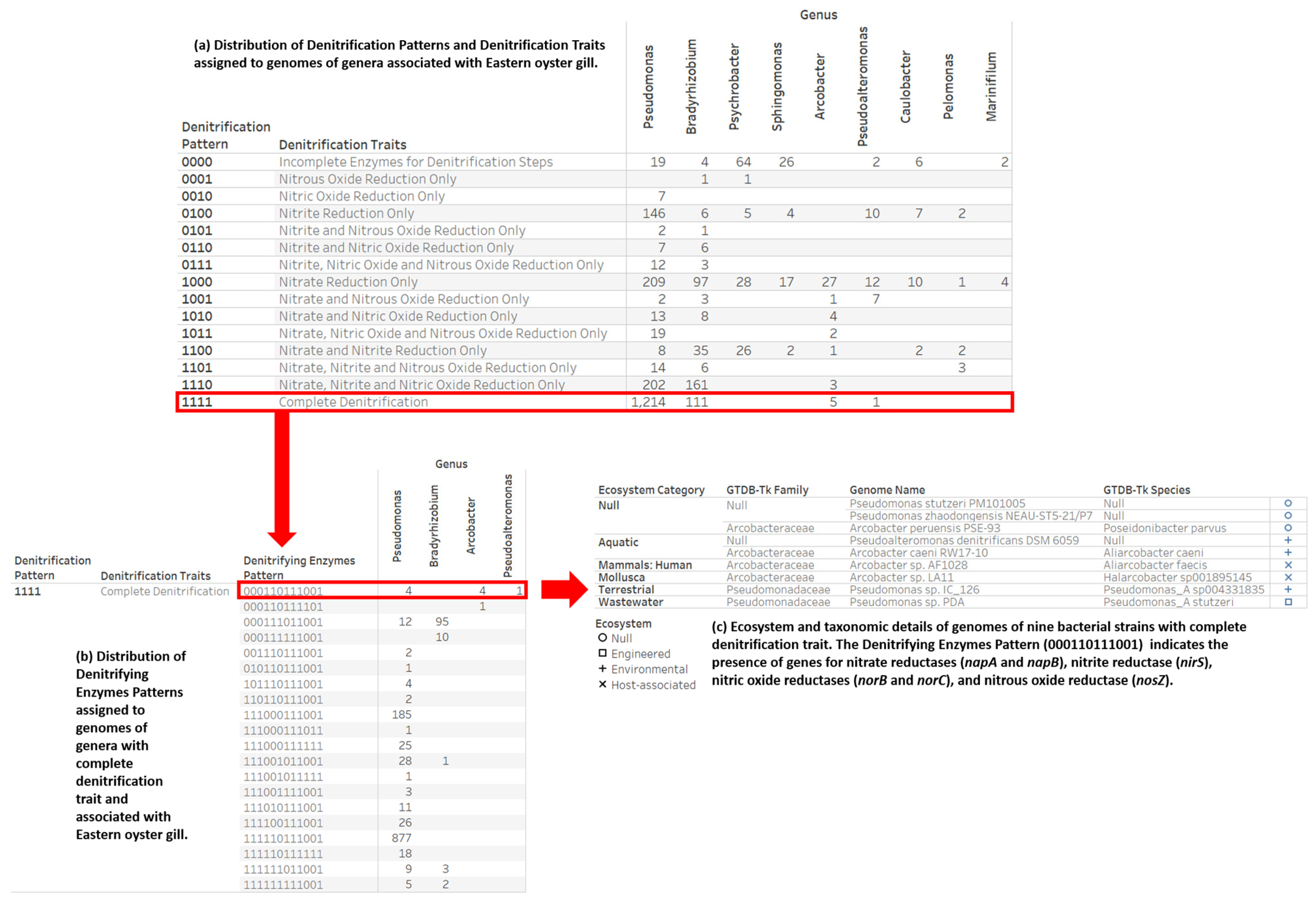 Microorganisms 12 00791 g007