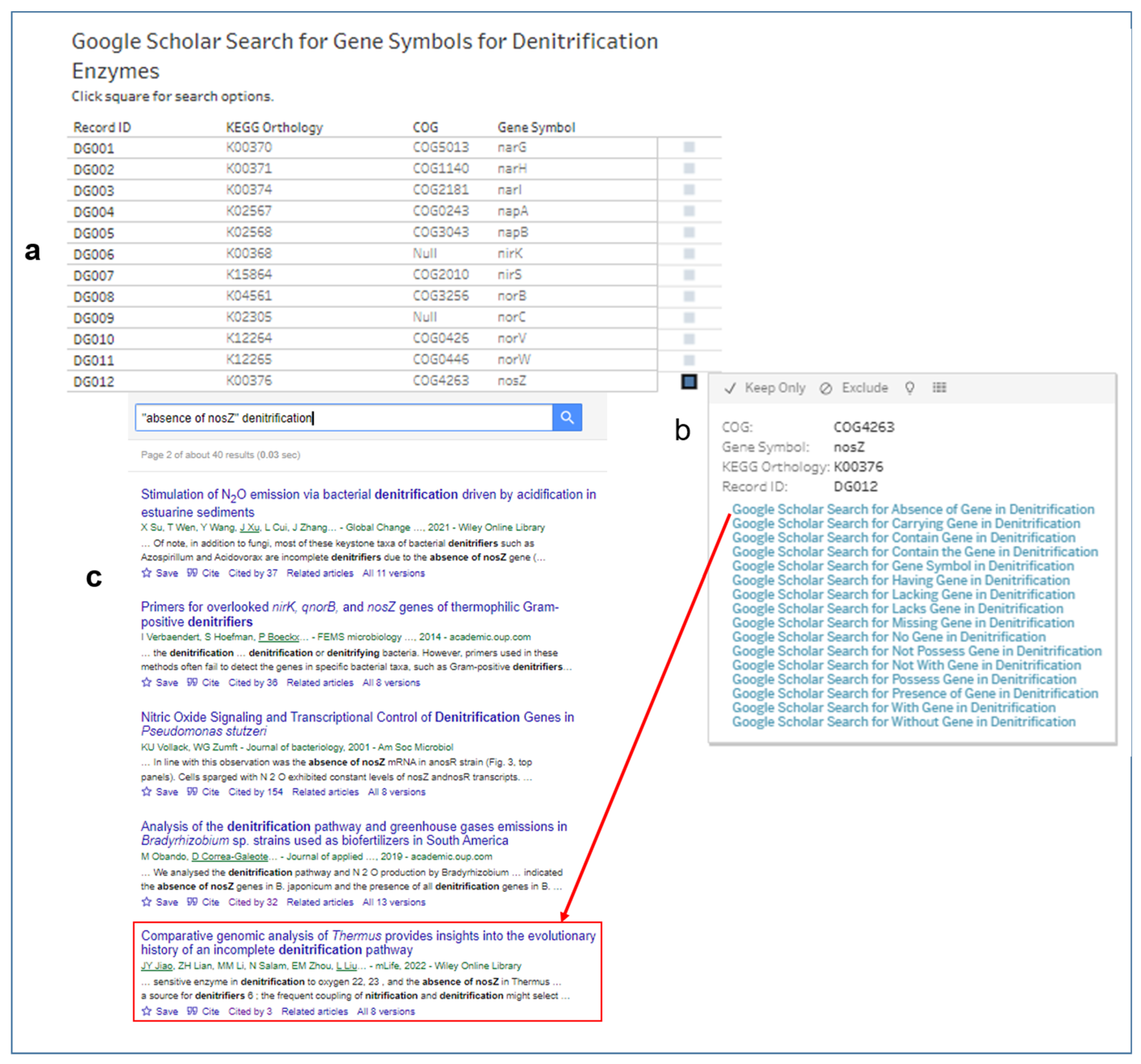 Microorganisms 12 00791 g012