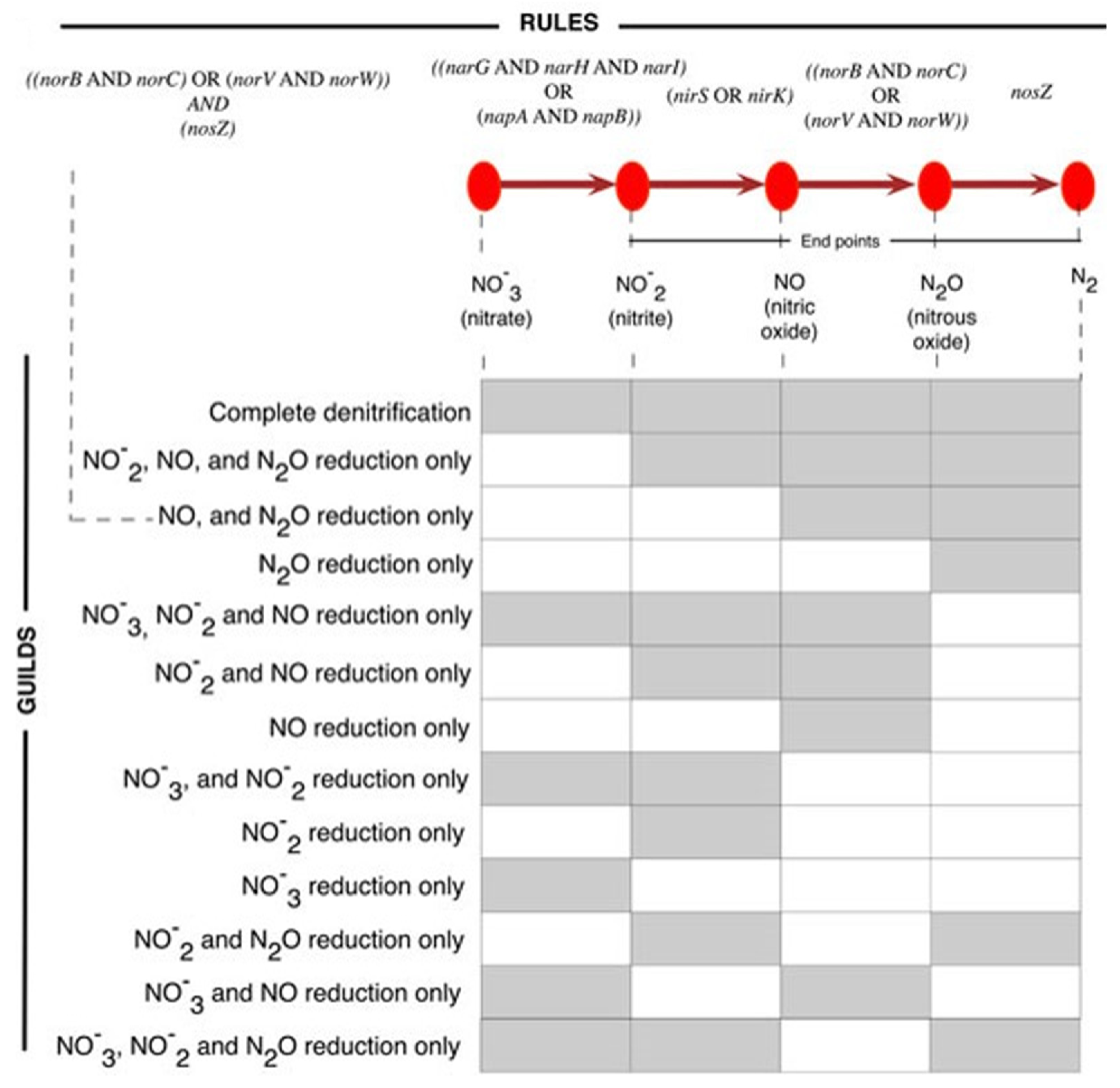 Microorganisms 12 00791 g0a1